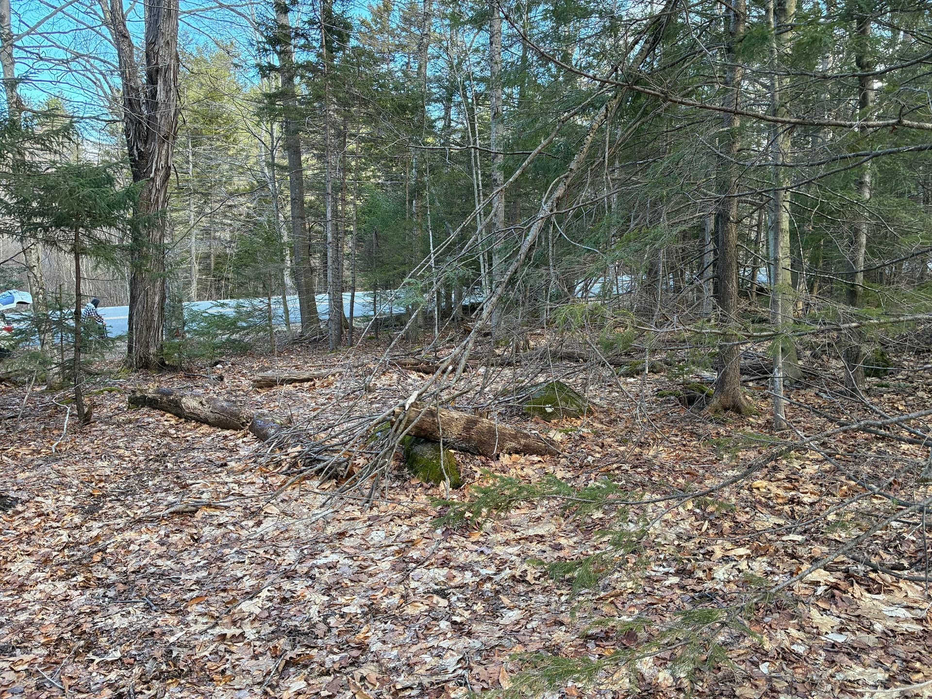 Residential at 5 Leshure Rd, Rowe MA 01367, photo 7 of 13