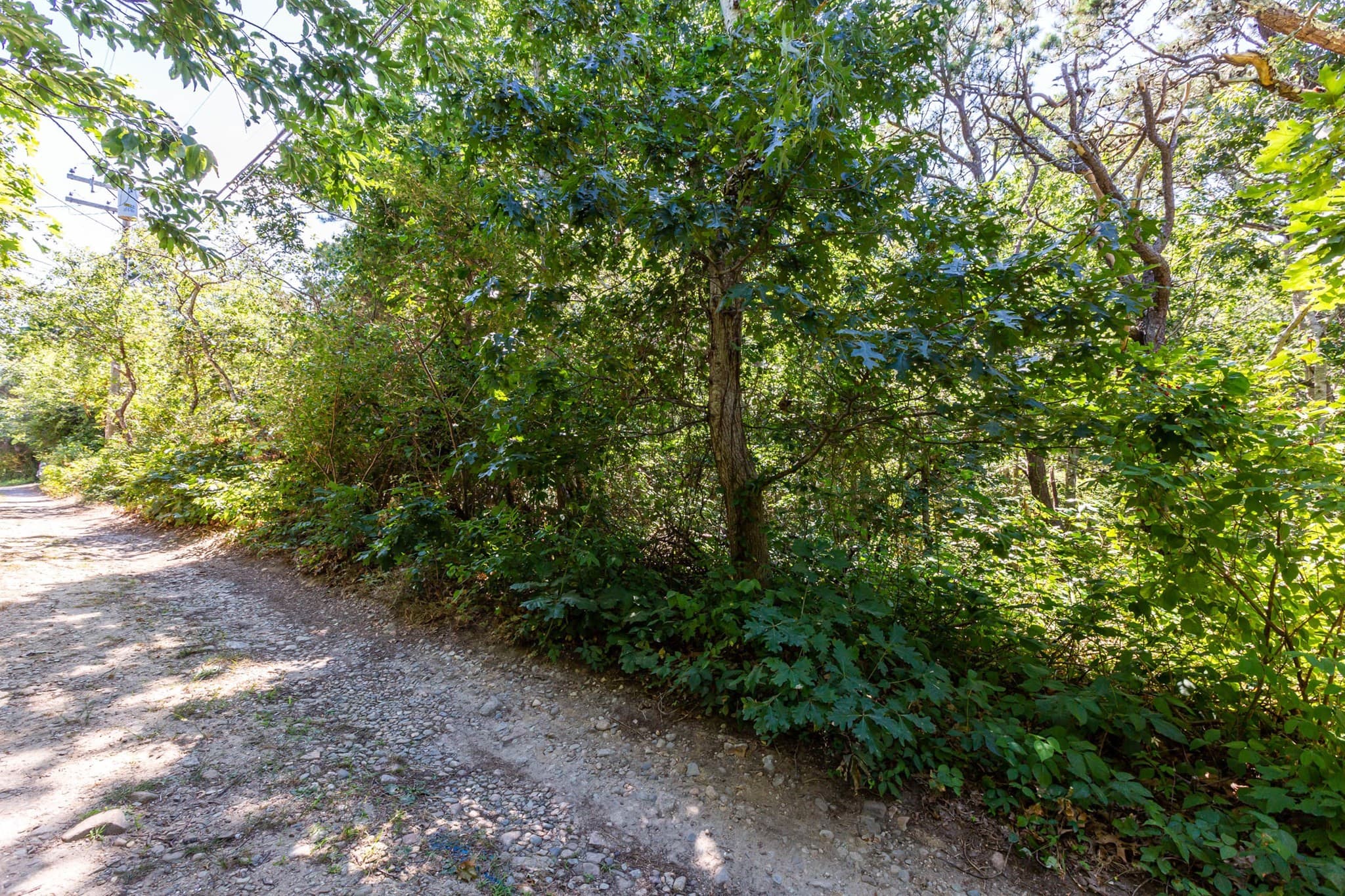 Residential at 0 Partridge Circle, Brewster MA 02631, photo 4 of 12