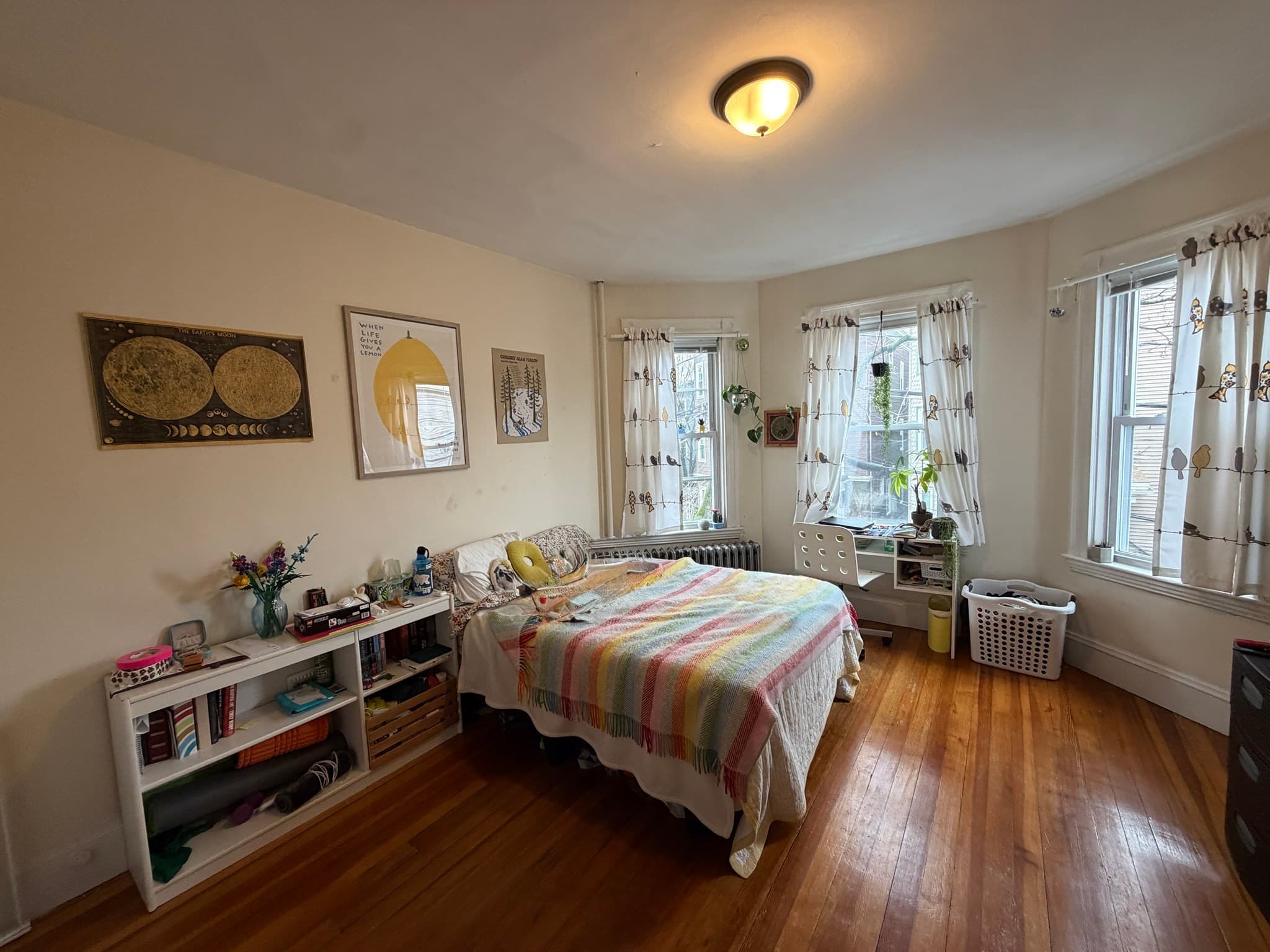 5-9 Family at 42 Calvin Street, Somerville MA 02143, Somerville, photo 5 of 11