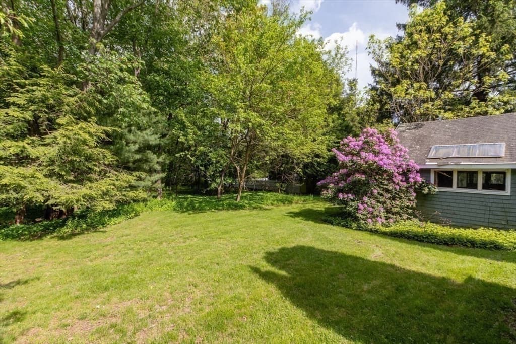 6 Willow Street, Wellesley MA 02481 photo 32