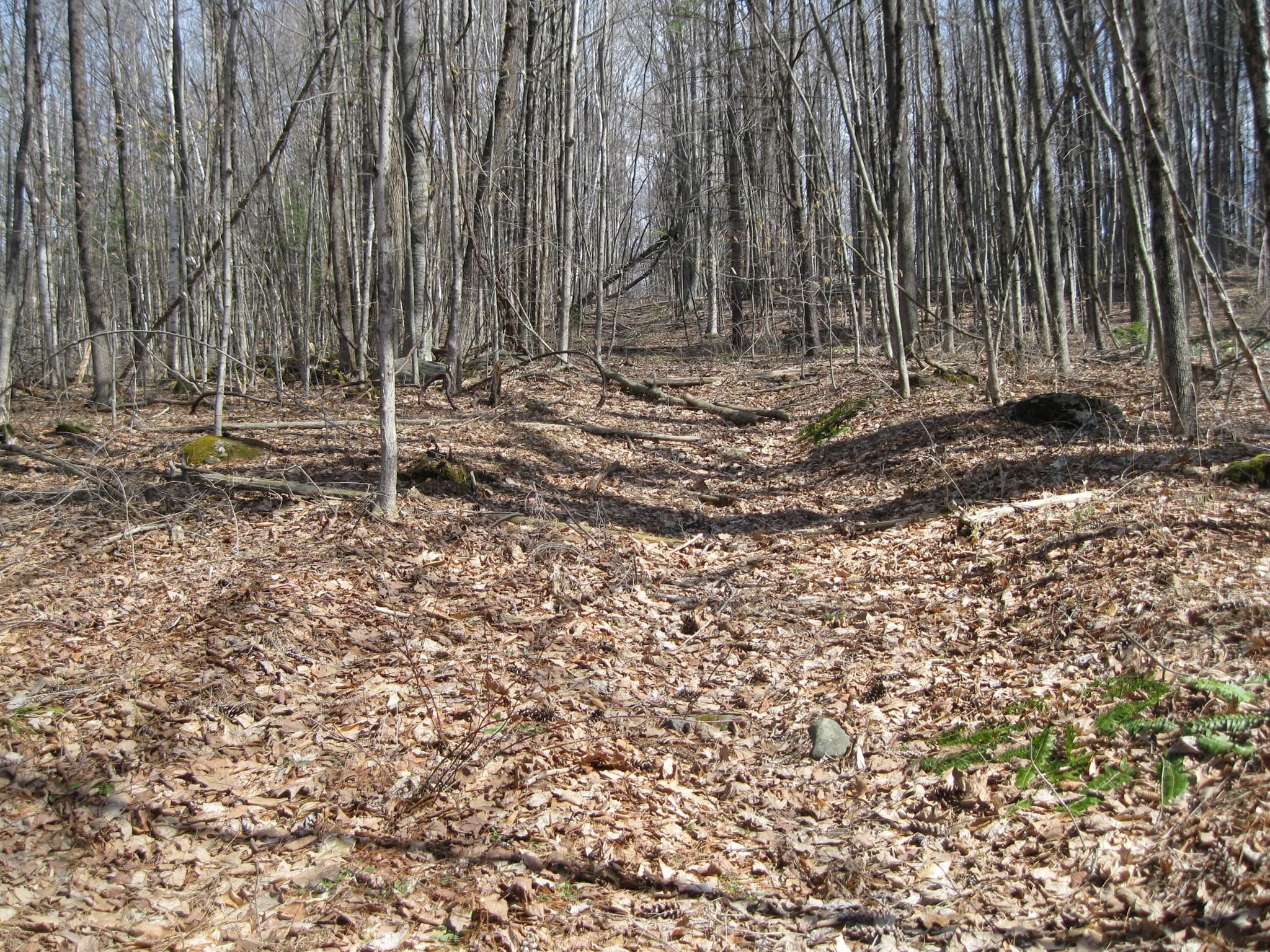 Residential at 0 Mohawk Lake Rd, Stockbridge MA 01262, photo 2 of 5