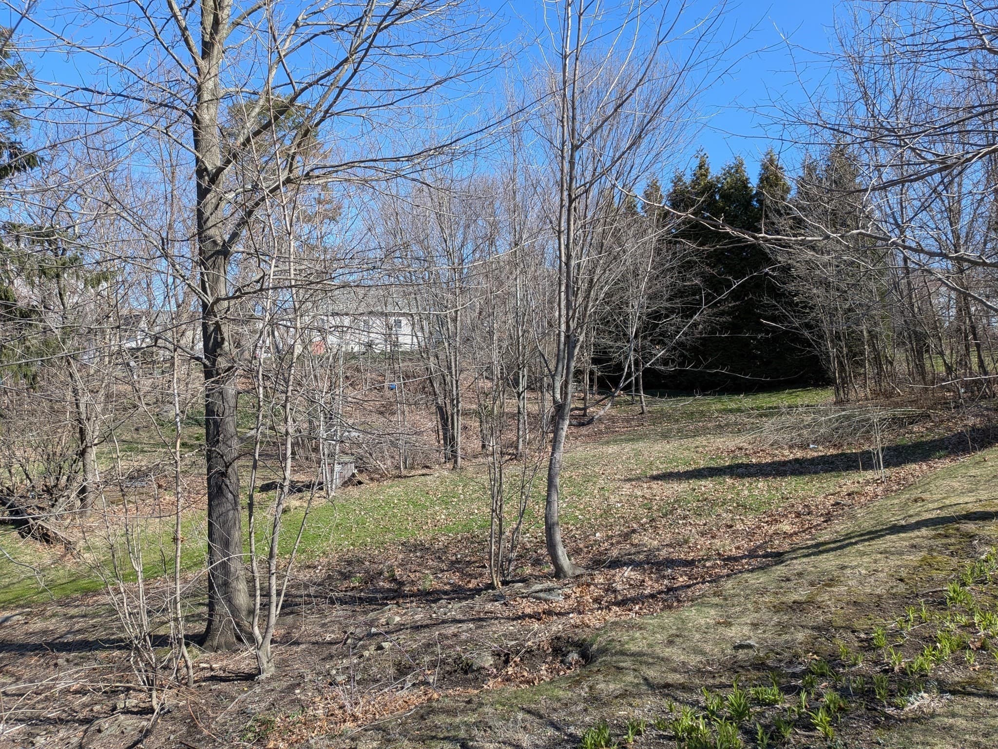 Residential at 78 Leeds St, Worcester MA 01606, Worcester, photo 7 of 15