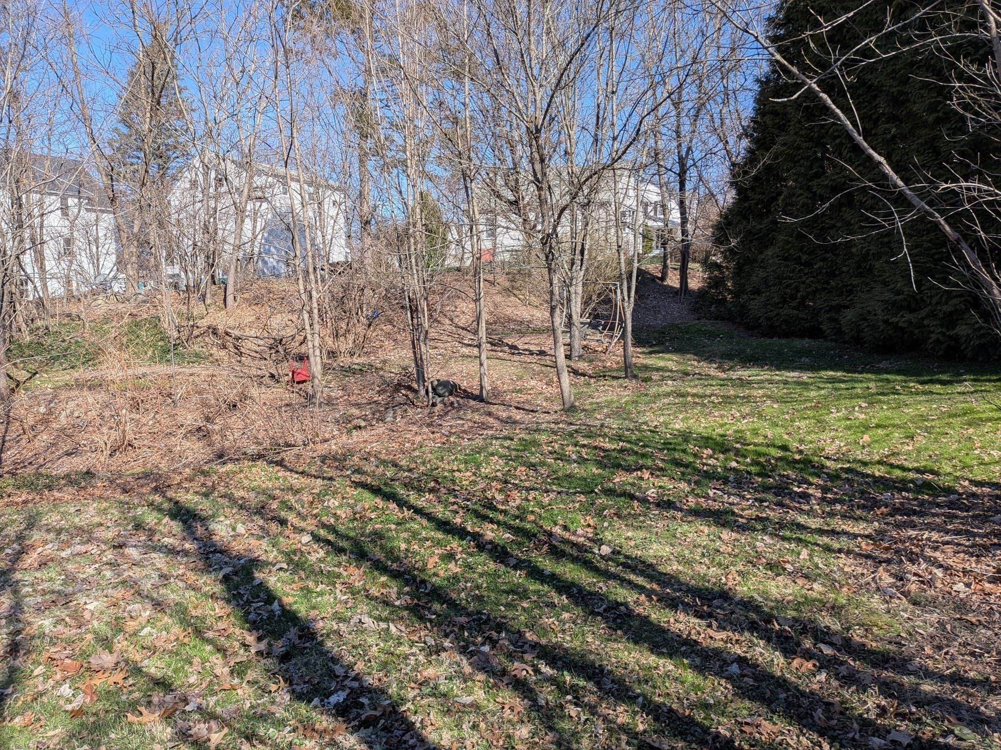 Residential at 78 Leeds St, Worcester MA 01606, Worcester, photo 3 of 15
