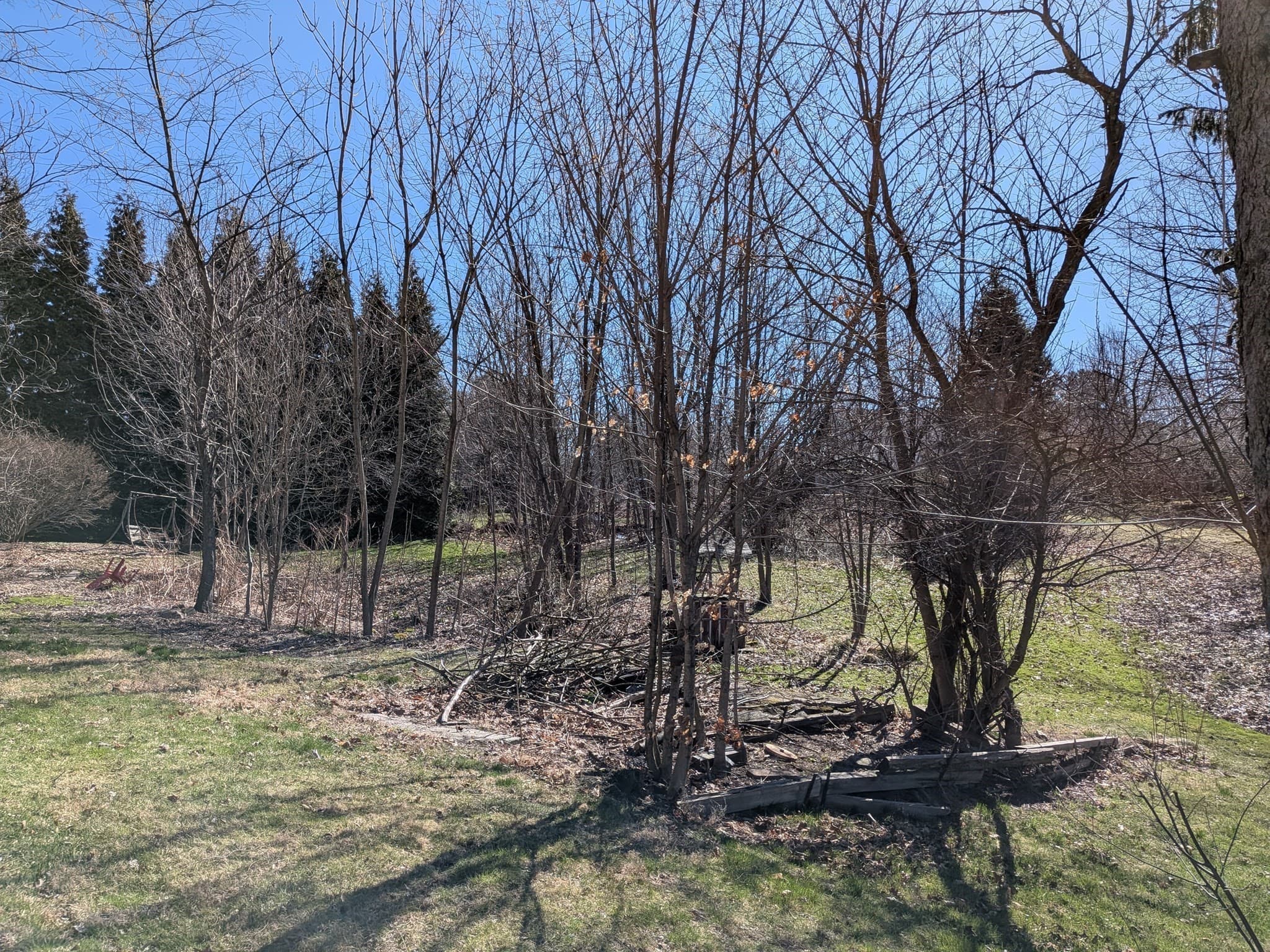 Residential at 78 Leeds St, Worcester MA 01606, Worcester, photo 8 of 15