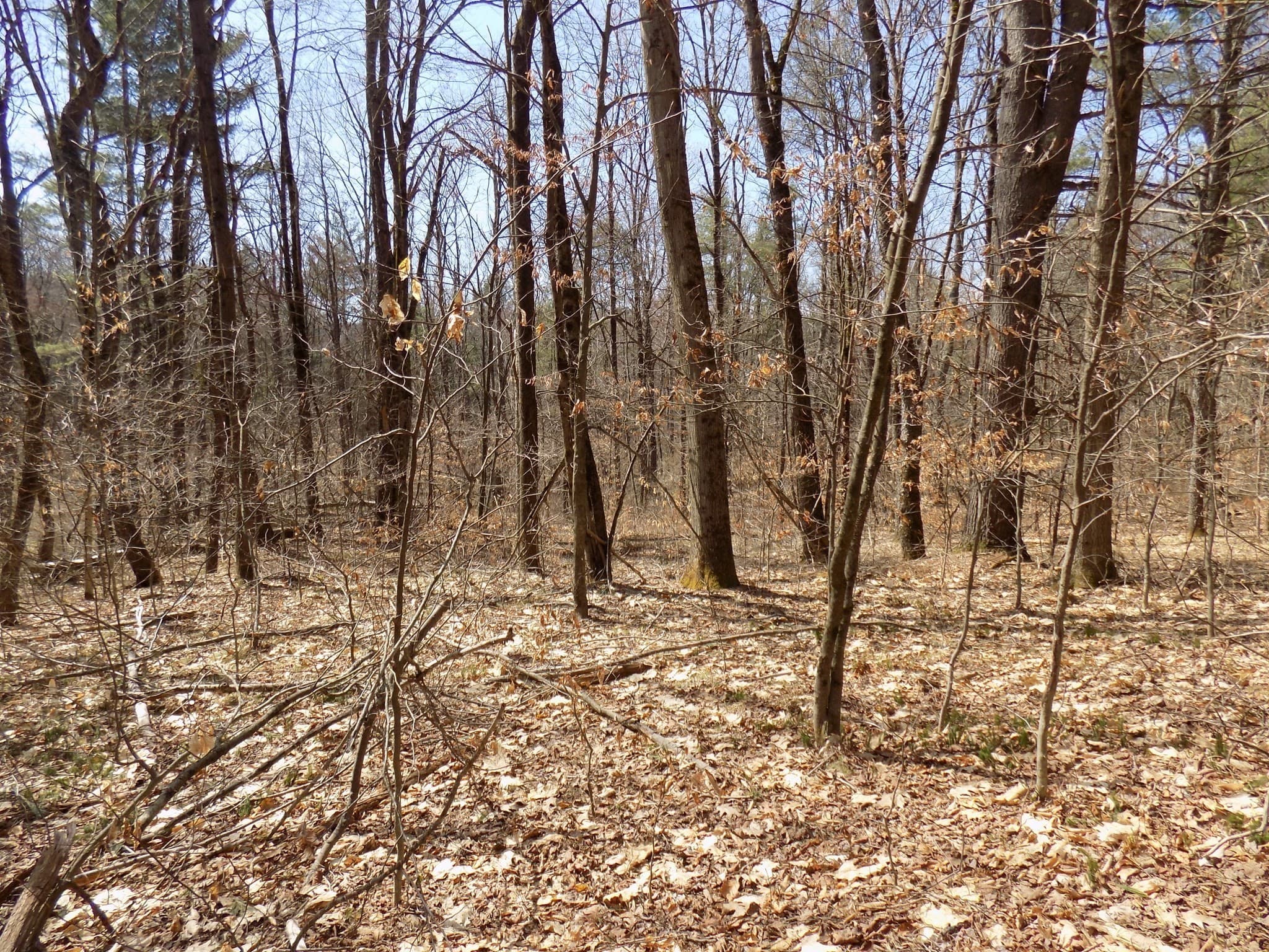Residential at 0 Summit Hill Rd. Lot 3, Washington MA 01223, photo 6 of 15