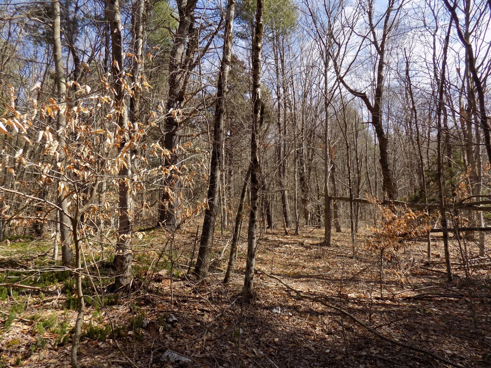 Residential at 0 Summit Hill Rd. Lot 3, Washington MA 01223, photo 12 of 15