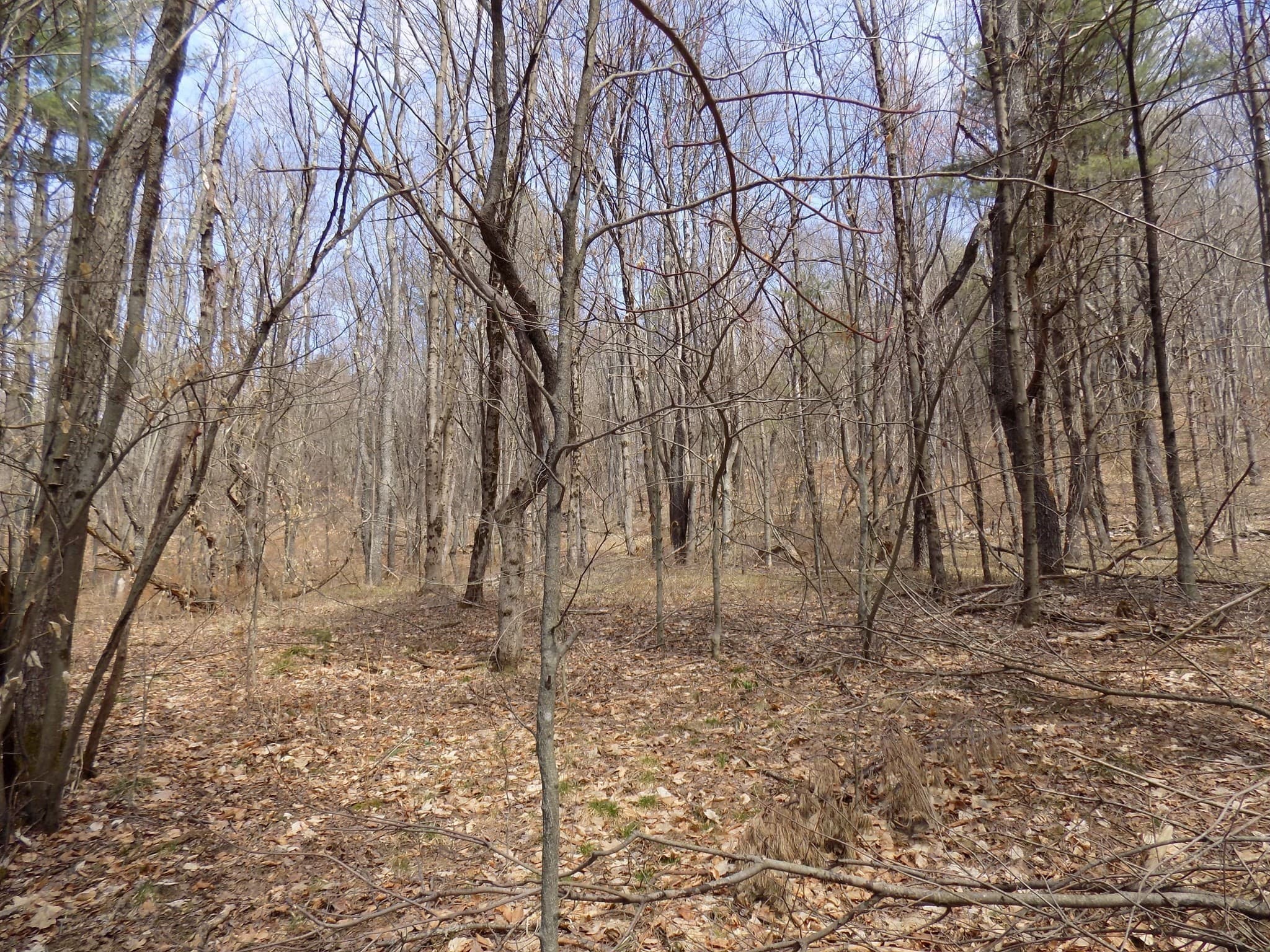 Residential at 0 Summit Hill Rd. Lot 3, Washington MA 01223, photo 7 of 15