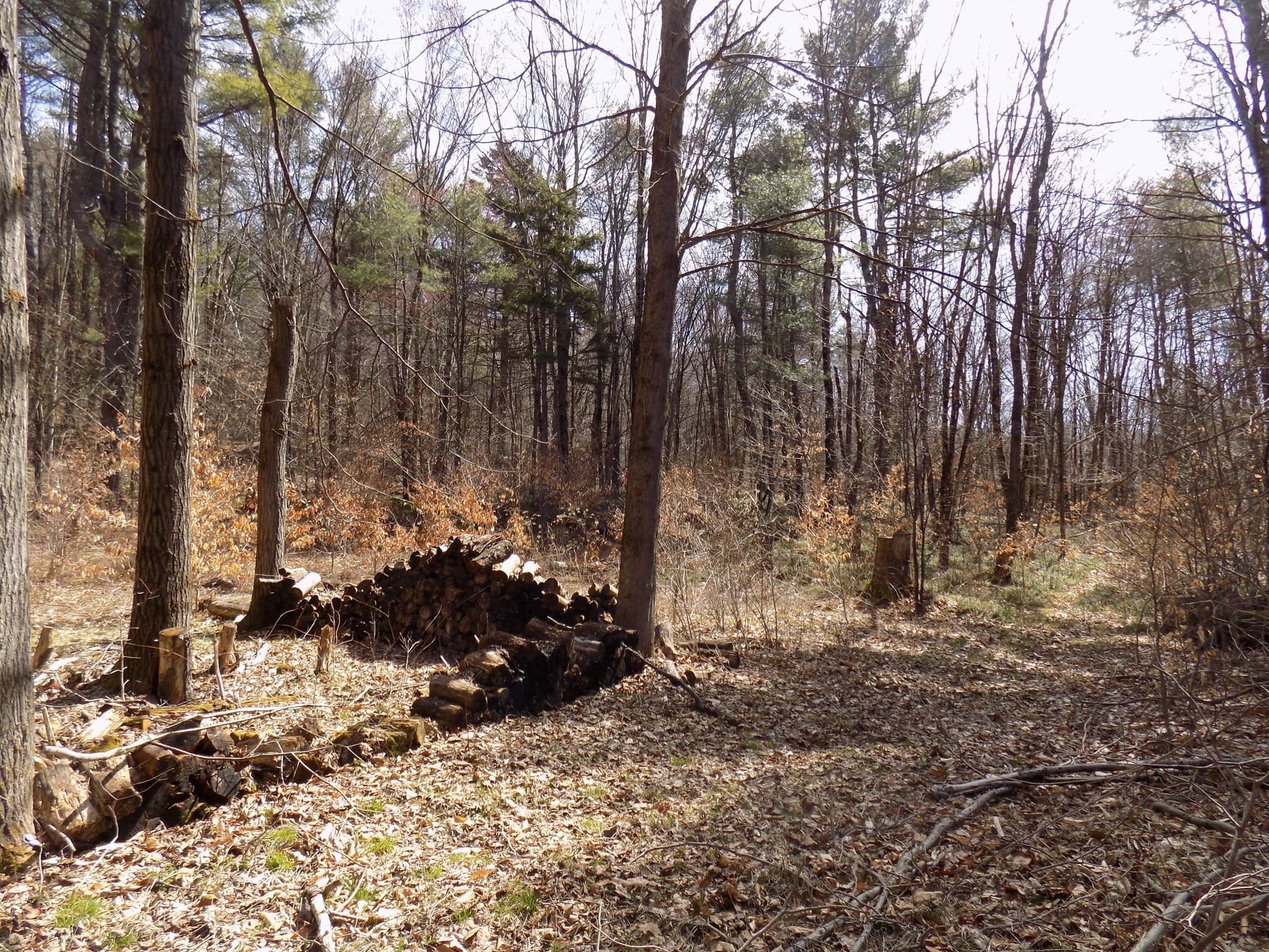 Residential at 0 Summit Hill Rd. Lot 3, Washington MA 01223, photo 10 of 15