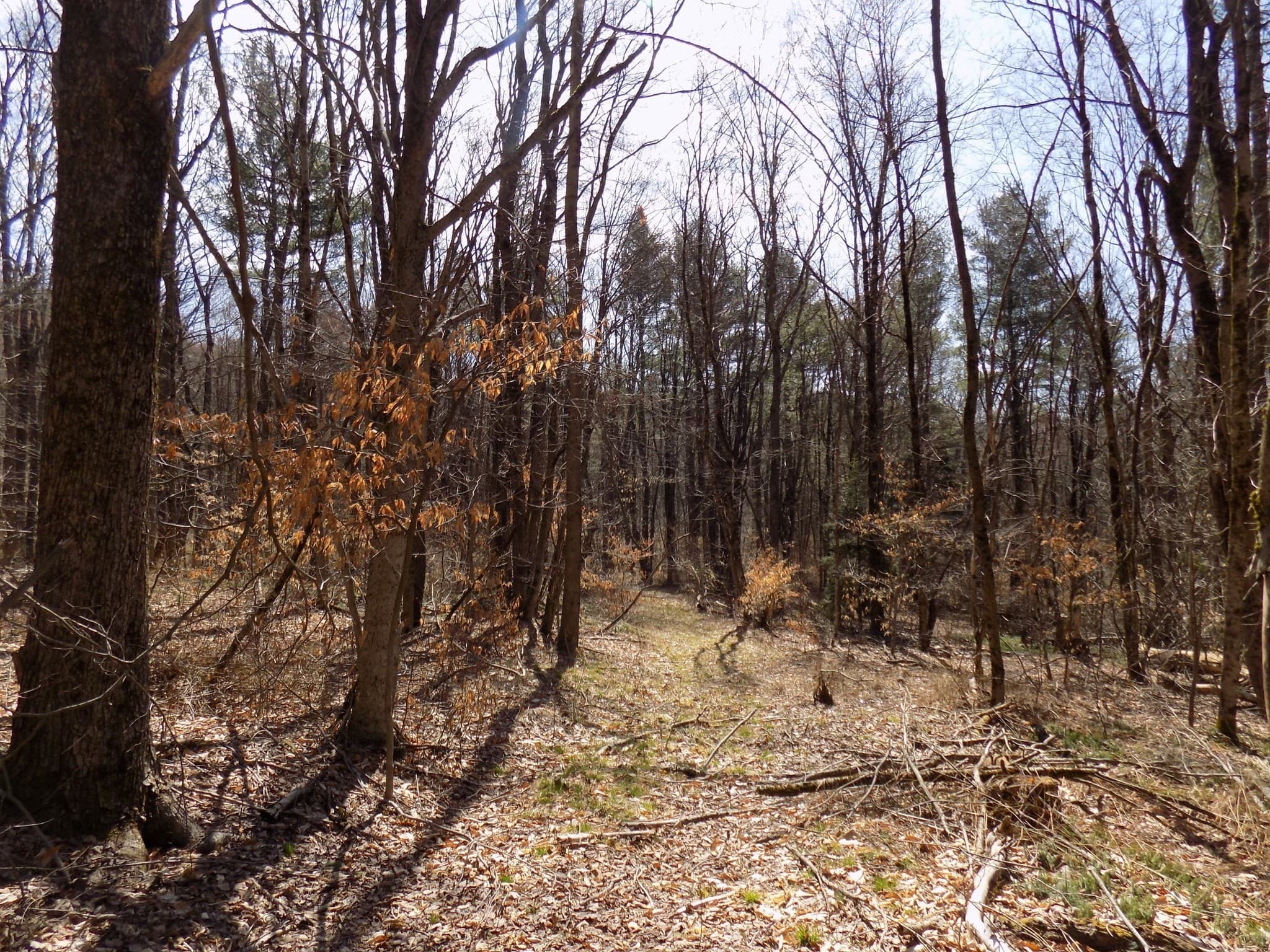 Residential at 0 Summit Hill Rd. Lot 3, Washington MA 01223, photo 14 of 15