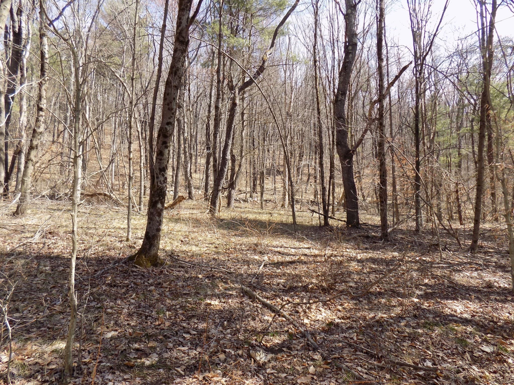 Residential at 0 Summit Hill Rd. Lot 3, Washington MA 01223, photo 15 of 15
