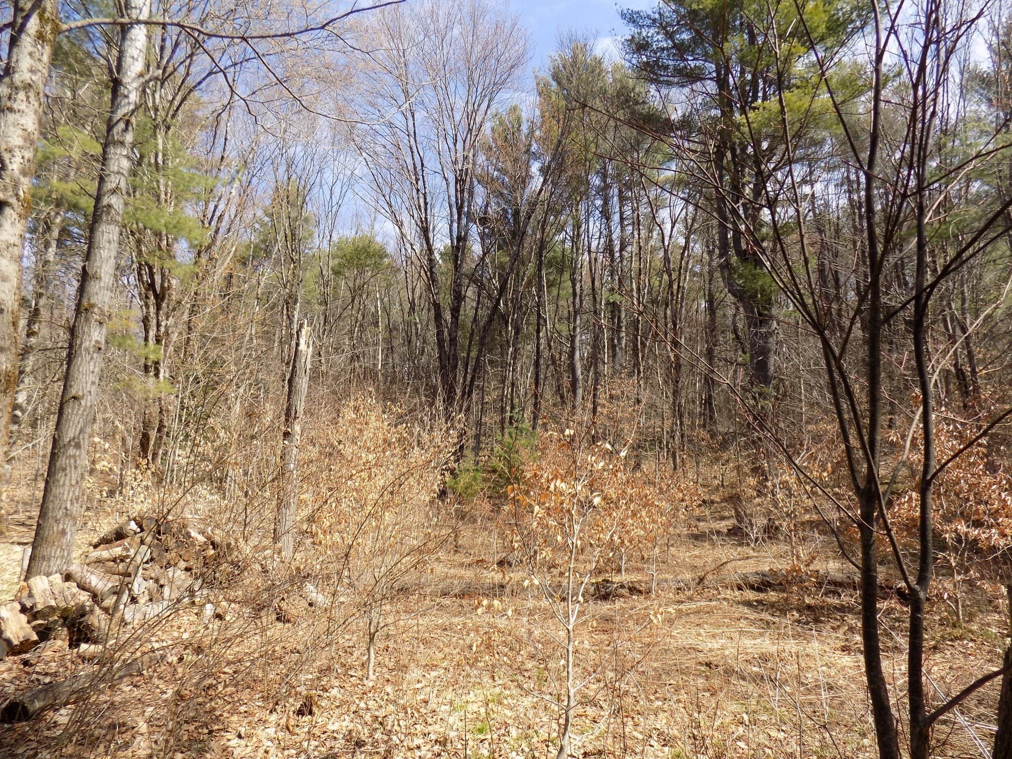 Residential at 0 Summit Hill Rd. Lot 3, Washington MA 01223, photo 11 of 15