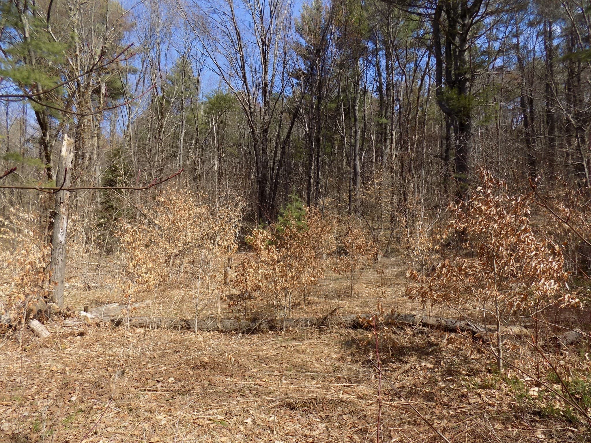 Residential at 0 Summit Hill Rd. Lot 3, Washington MA 01223, photo 8 of 15