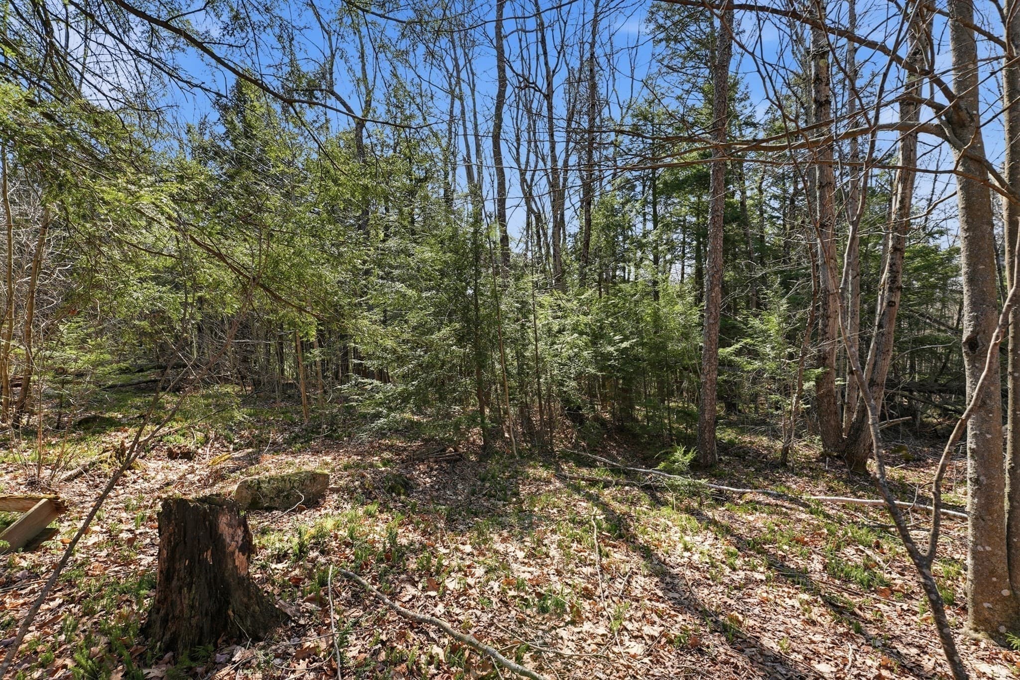 Residential at 0 Algerie Rd, Otis MA 01253, photo 6 of 15