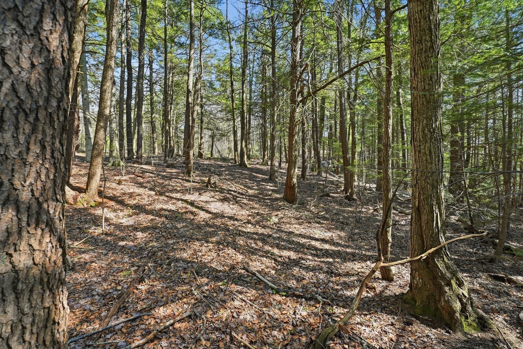 Residential at 0 Algerie Rd, Otis MA 01253, photo 5 of 15