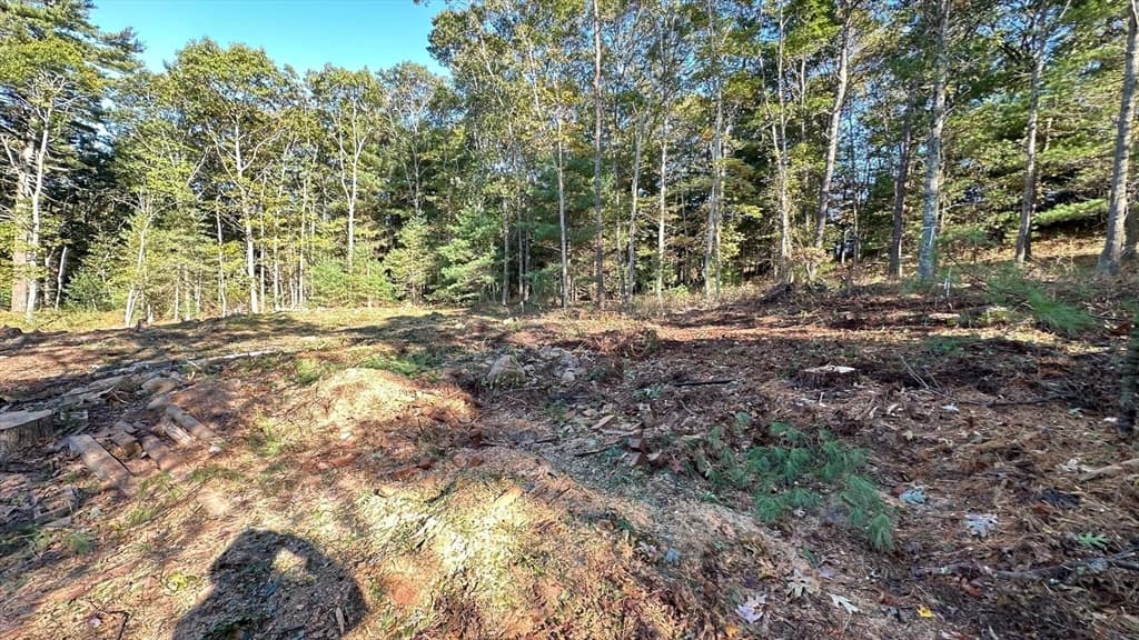221 Beaver Dam Rd, Plymouth MA 02360 photo 22