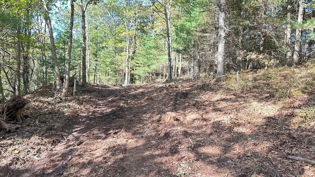221 Beaver Dam Rd, Plymouth MA 02360 photo 8