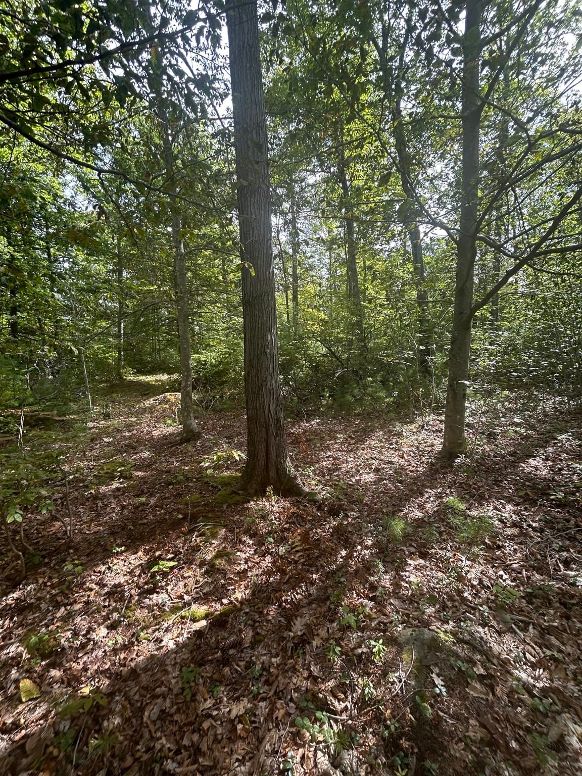 Land at 531 Mason Rd, Ashby MA 01431, Ashby, photo 2 of 12