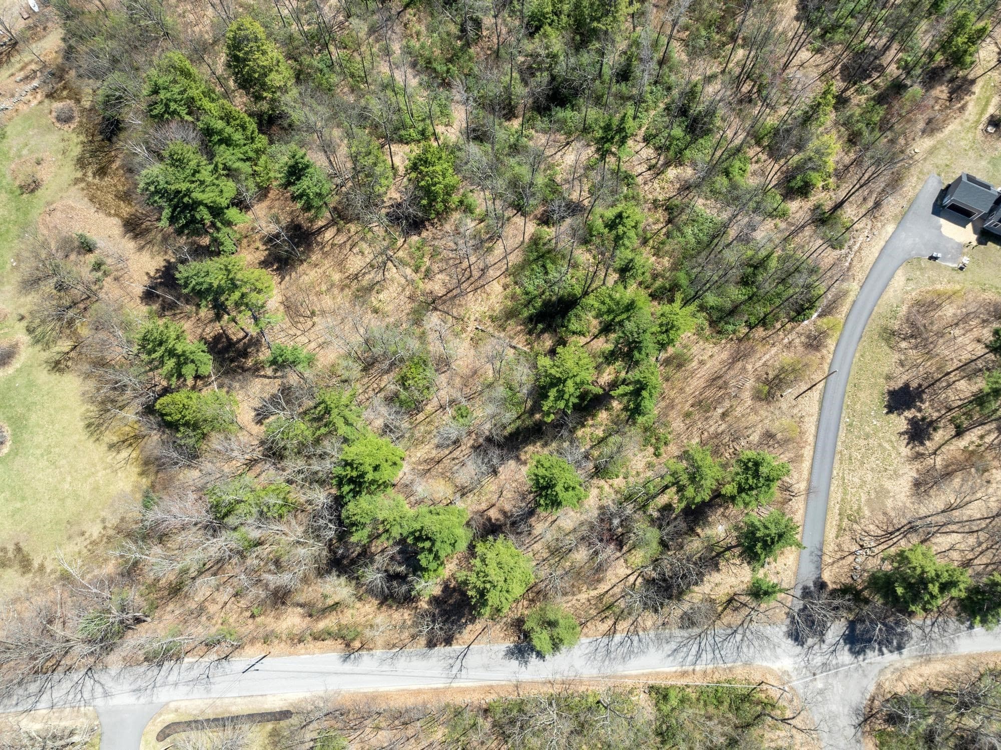 Land at 531 Mason Rd, Ashby MA 01431, Ashby, photo 10 of 12