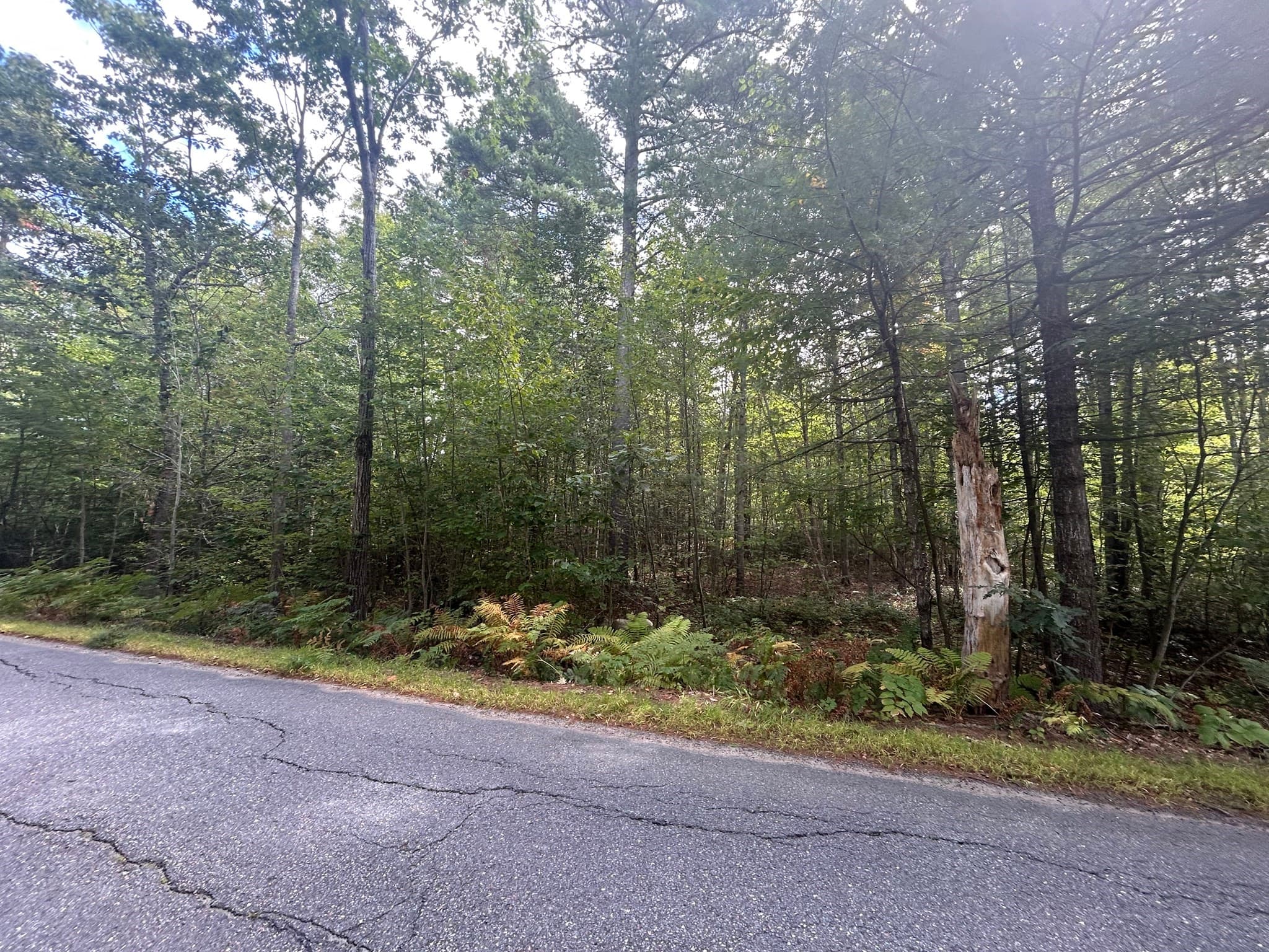 Land at 531 Mason Rd, Ashby MA 01431, Ashby, photo 8 of 12