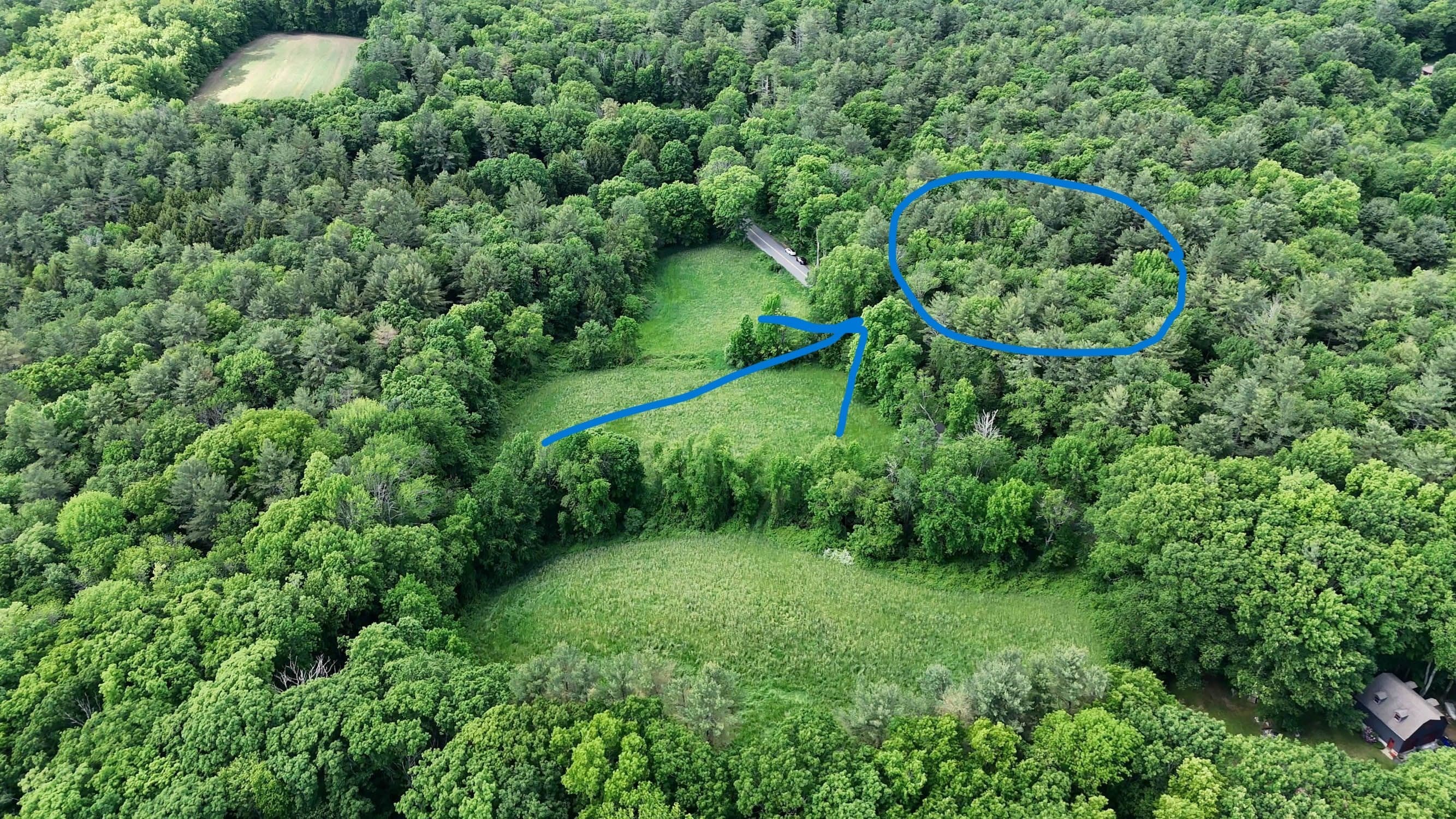 Agriculture at 0 Brooks Pond Rd (Small Parcel), Spencer MA 01562, photo 5 of 10