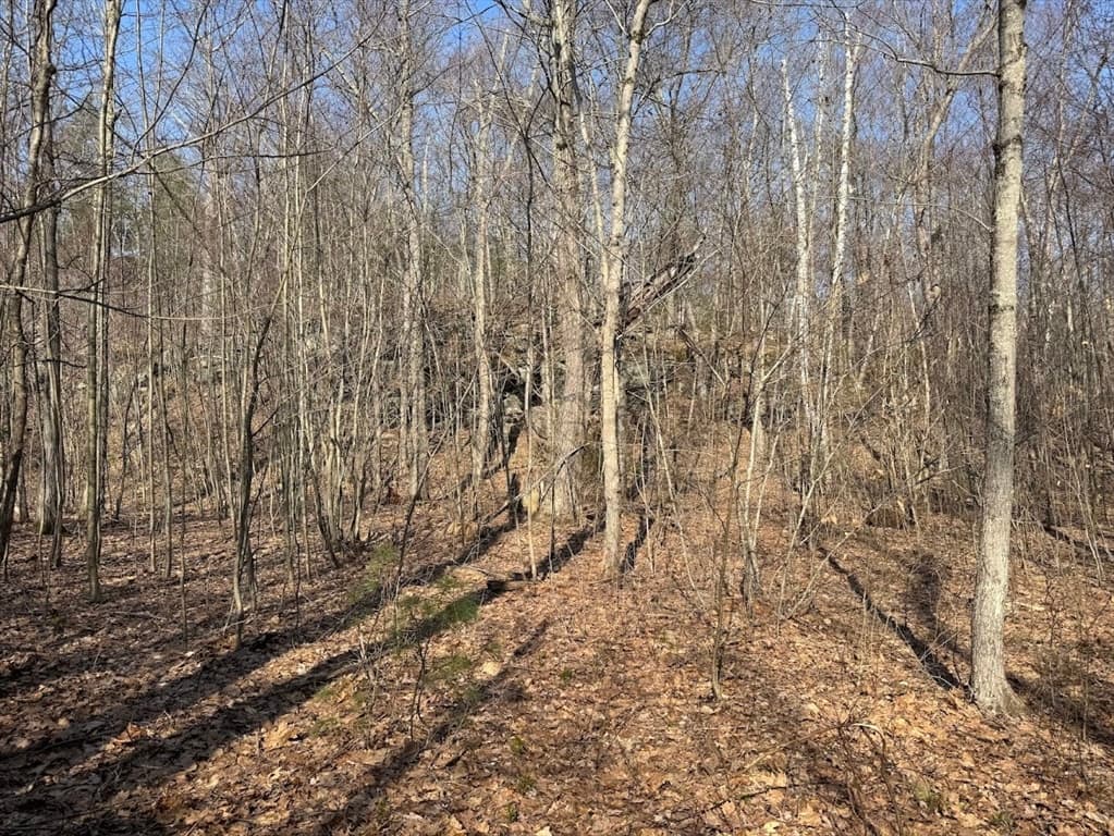 0B Brimfield Rd, Warren MA 01083 photo 3