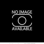 199 Confidential Way # 14, Boston MA 02135