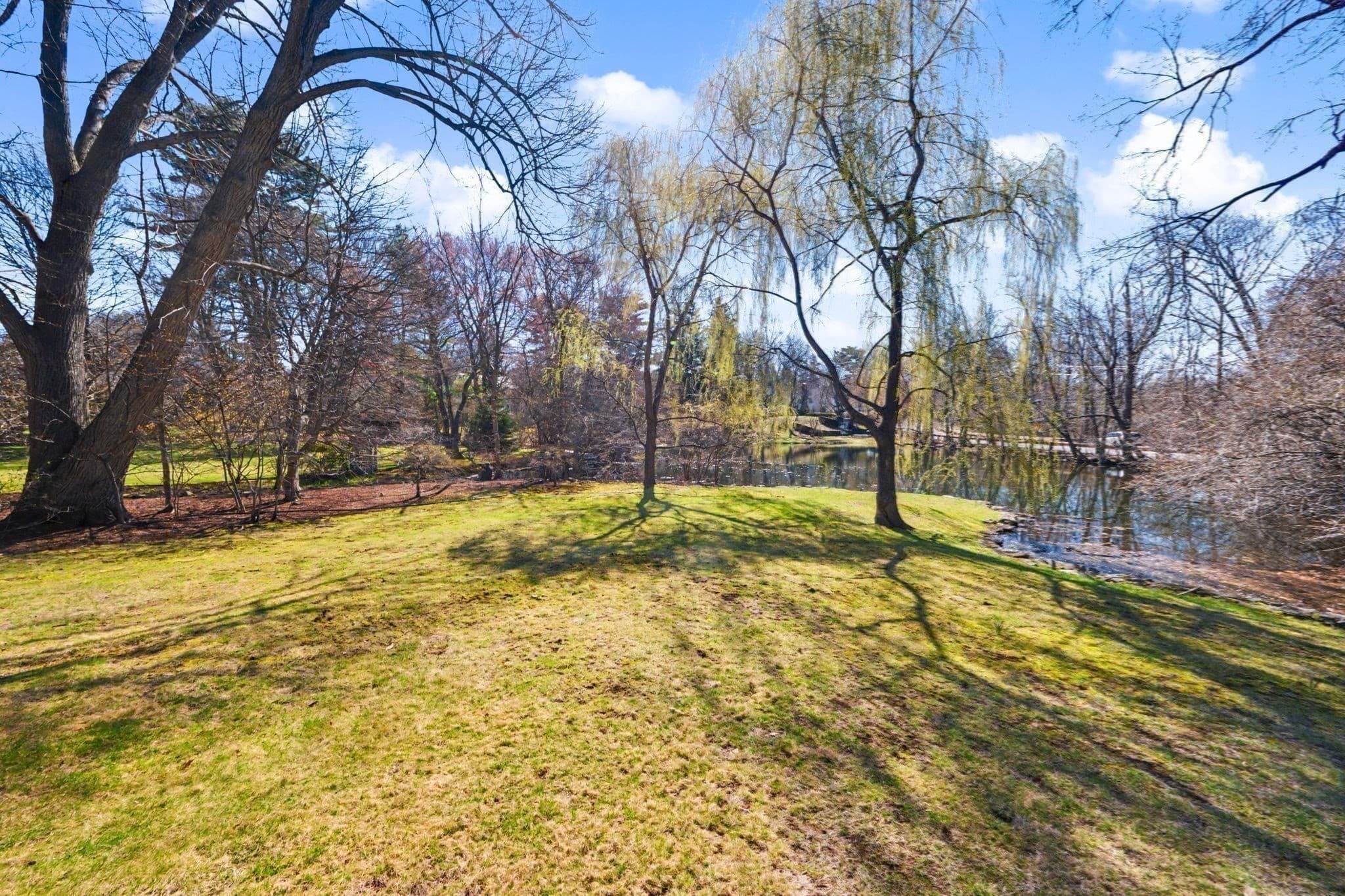 Single Family Residence at 24 Radcliff Rd, Newton MA 02468, Newton, photo 35 of 42