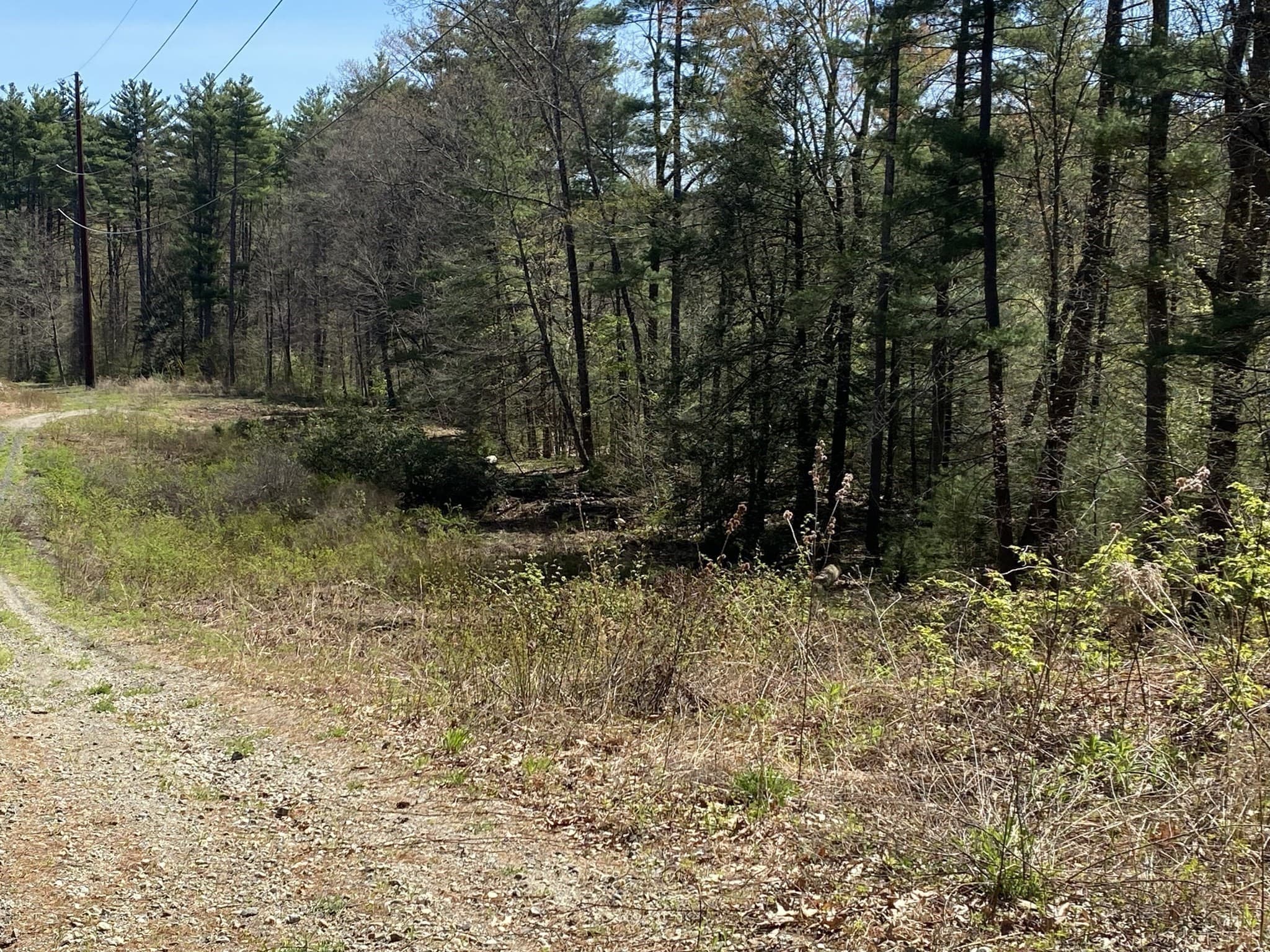 Residential at Lot 7,199 Pequot St, Southampton MA 01073, photo 12 of 14