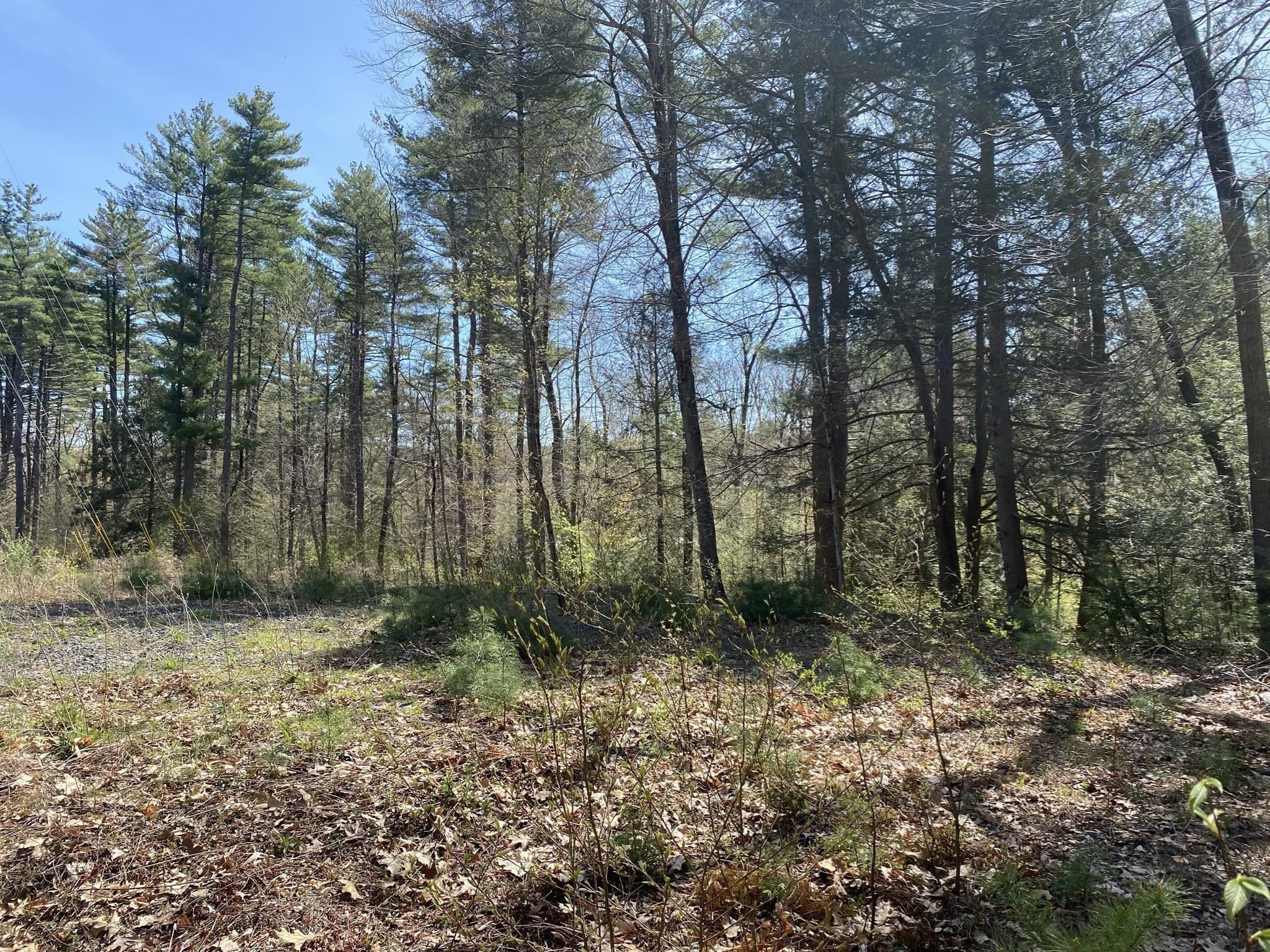 Residential at Lot 7,199 Pequot St, Southampton MA 01073, photo 3 of 14