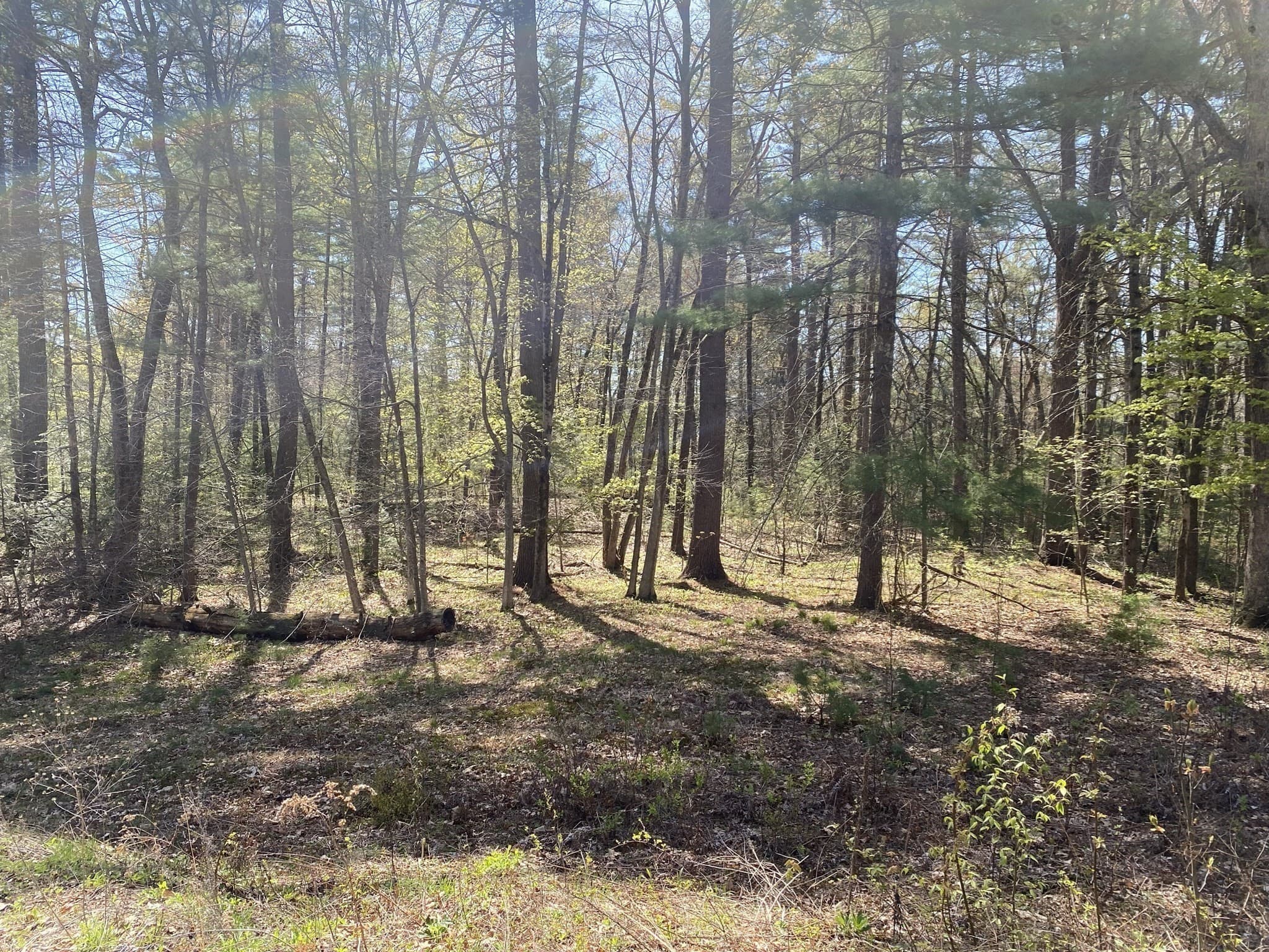 Residential at Lot 7,199 Pequot St, Southampton MA 01073, photo 9 of 14