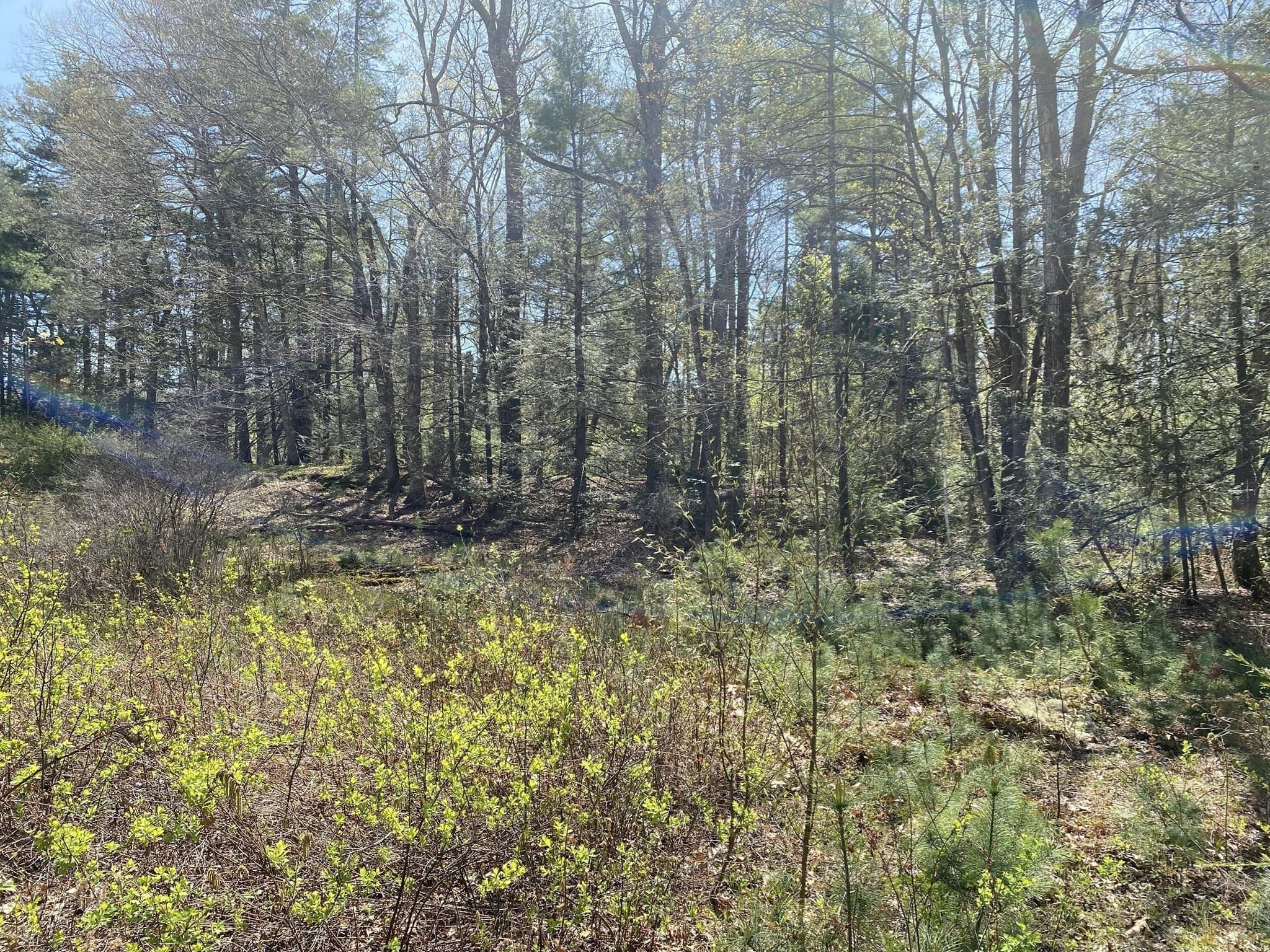 Residential at Lot 7,199 Pequot St, Southampton MA 01073, photo 10 of 14