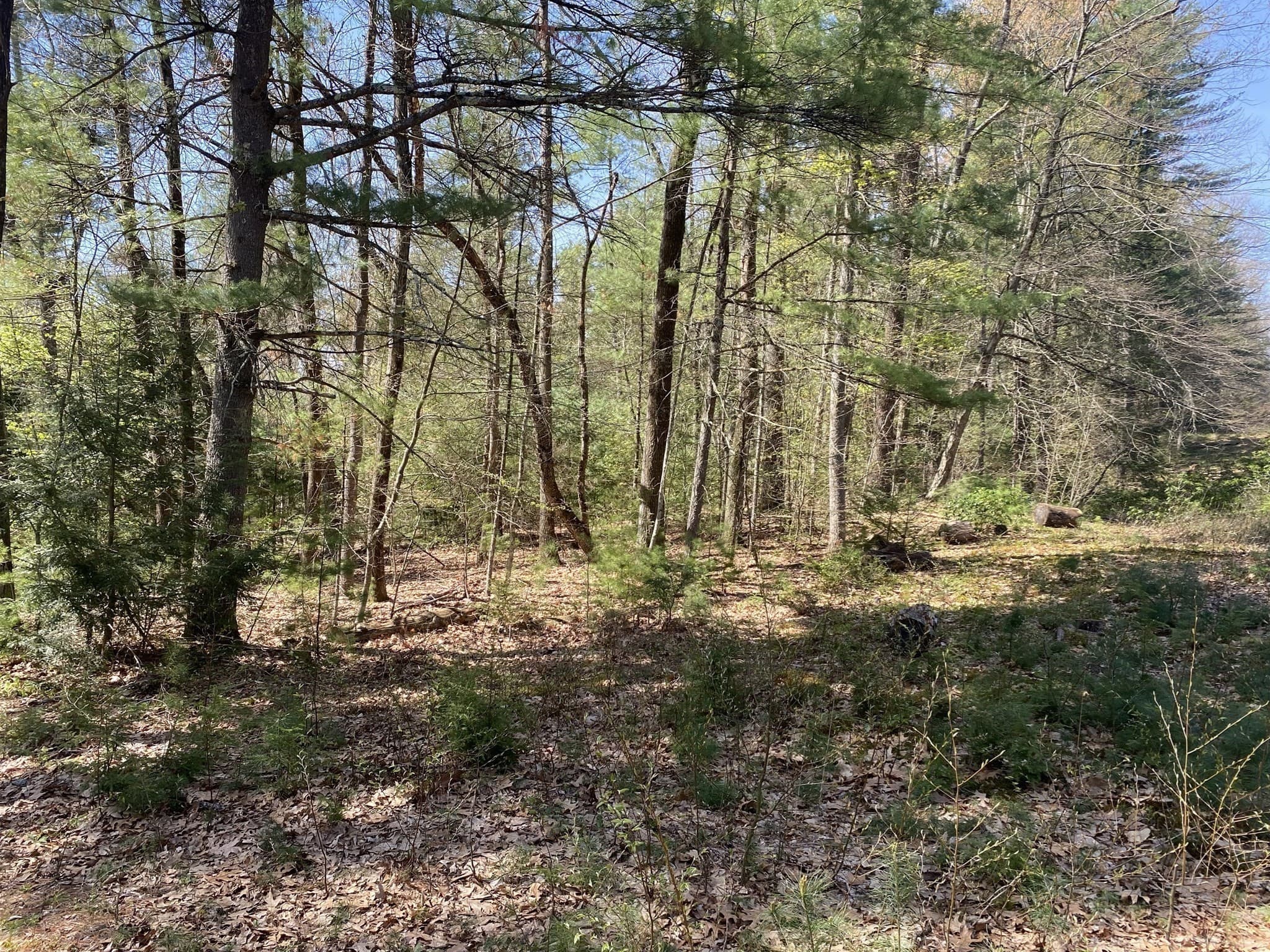Residential at Lot 7,199 Pequot St, Southampton MA 01073, photo 14 of 14