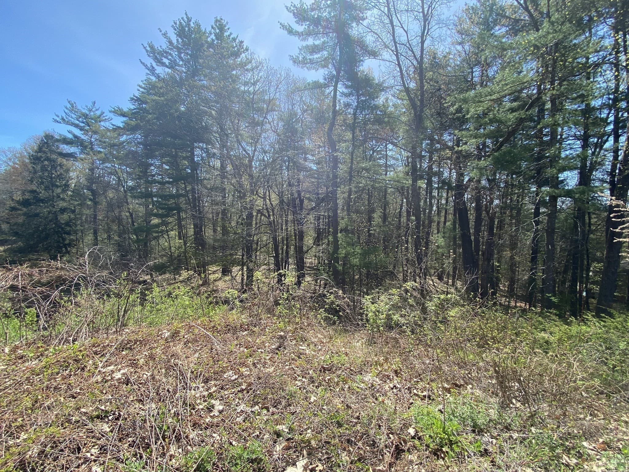 Residential at Lot 7,199 Pequot St, Southampton MA 01073, photo 8 of 14