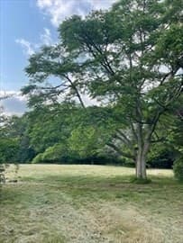 Residential at 349 Old Fall River Rd, Dartmouth MA 02747, photo 3 of 13