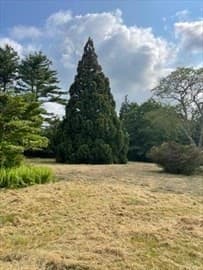 Residential at 349 Old Fall River Rd, Dartmouth MA 02747, photo 4 of 13