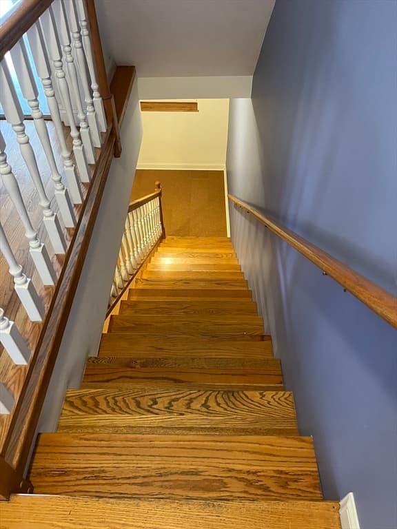 671 Tremont Street # 01, Boston MA 02118 photo 18
