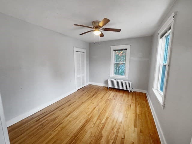 80 Delmont Ave, Worcester MA 01604 photo 28