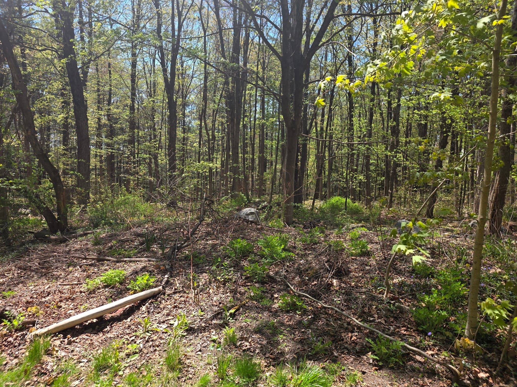 Residential at Lot 1 Winter St, Orange MA 01364, photo 2 of 4