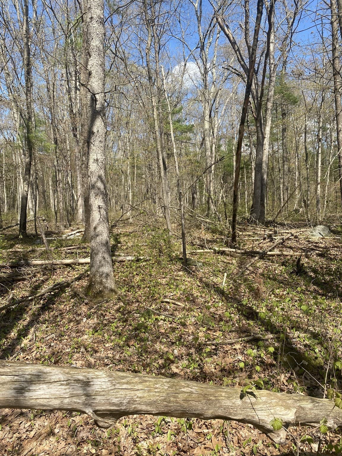 Residential at 395 Belchertown Rd, Ware MA 01082, Ware, photo 3 of 4