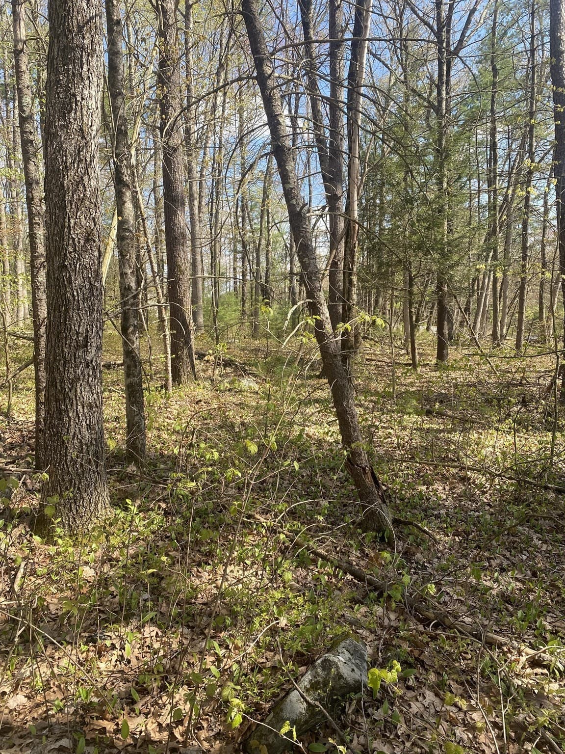 Residential at 395 Belchertown Rd, Ware MA 01082, Ware, photo 4 of 4