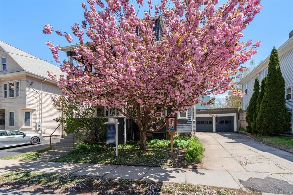 Condominium at 45 Springfield Street # 1, Belmont MA 02478, Belmont, photo 25 of 27