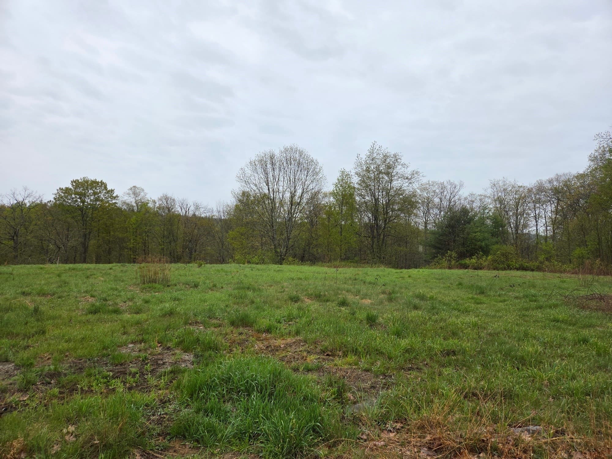 Residential at Lot 3F Petersham Road, Phillipston MA 01331, photo 2 of 4