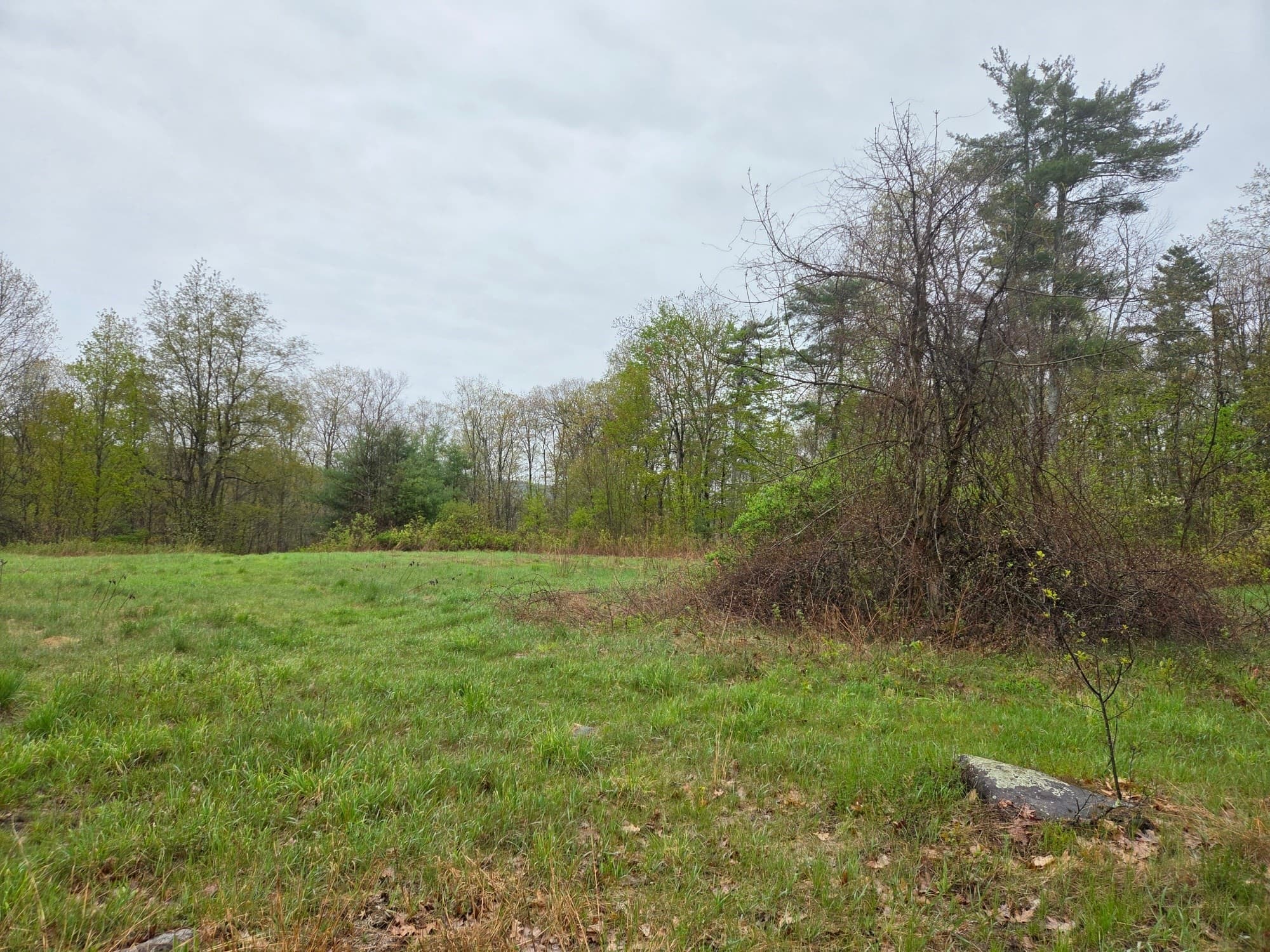 Residential at Lot 3F Petersham Road, Phillipston MA 01331, photo 3 of 4