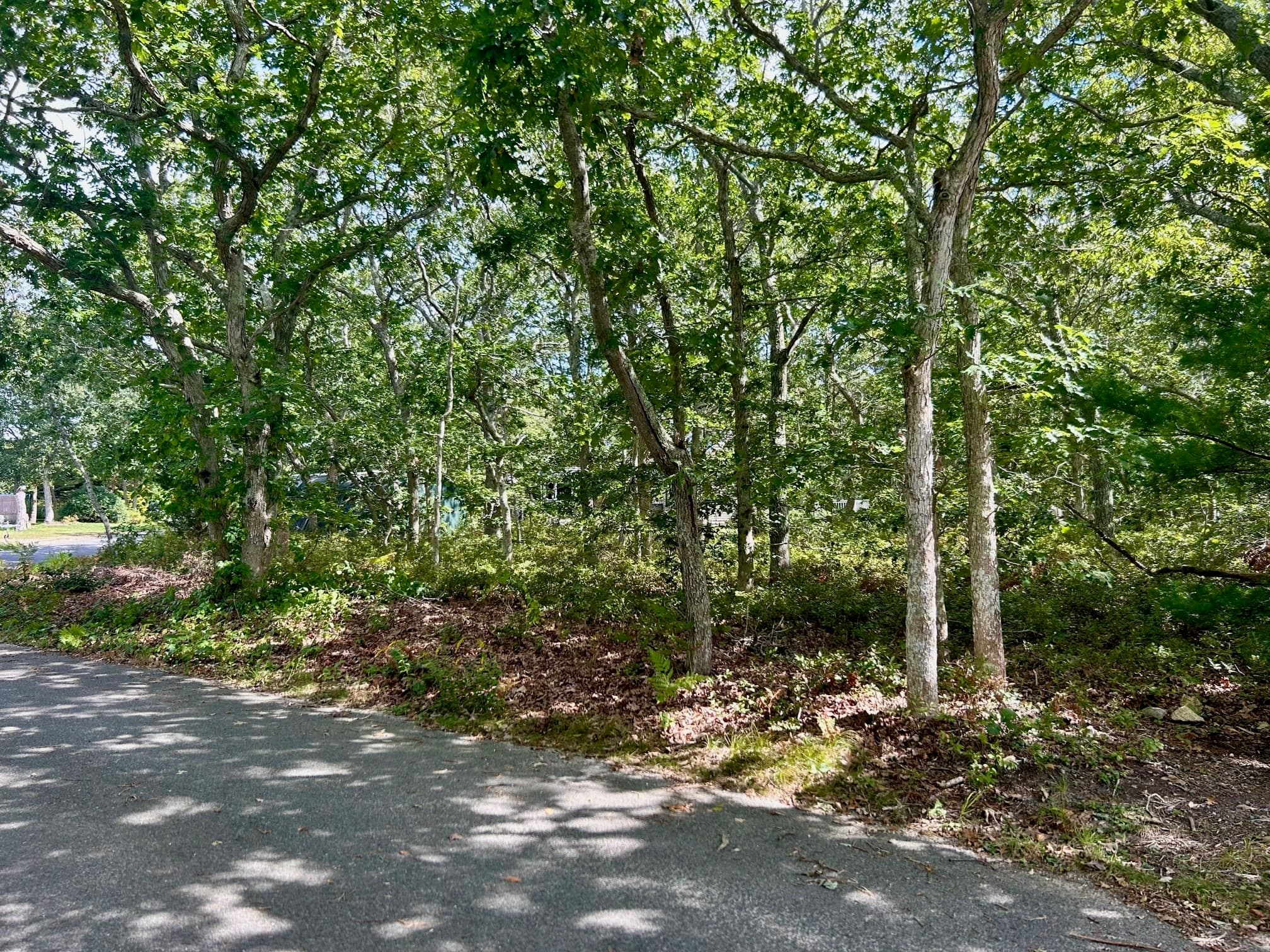 5 Candlemaker Circle, Edgartown MA 02539