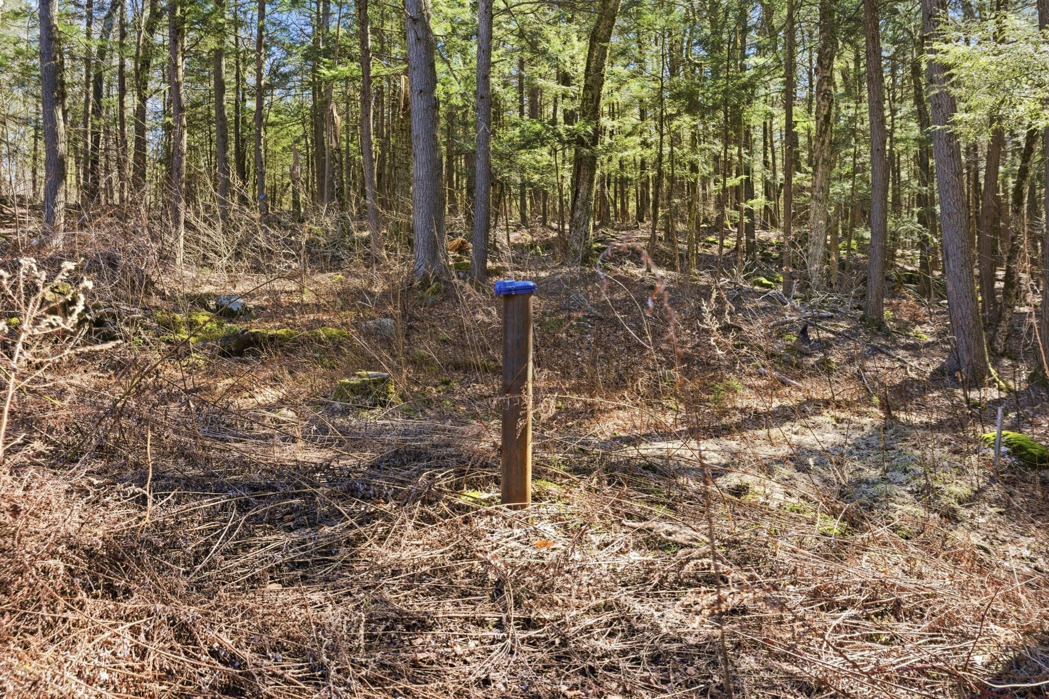 Residential at 23 South Village, Tolland MA 01034, photo 19 of 30
