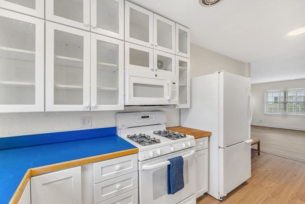 Condominium at 198 Lake Shore Road # 2, Boston MA 02135, photo 11 of 30