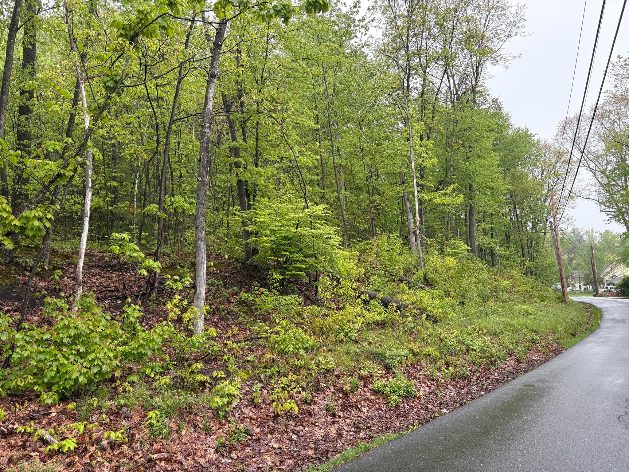 Residential at TBD Lower Road, Deerfield MA 01342, photo 6 of 8