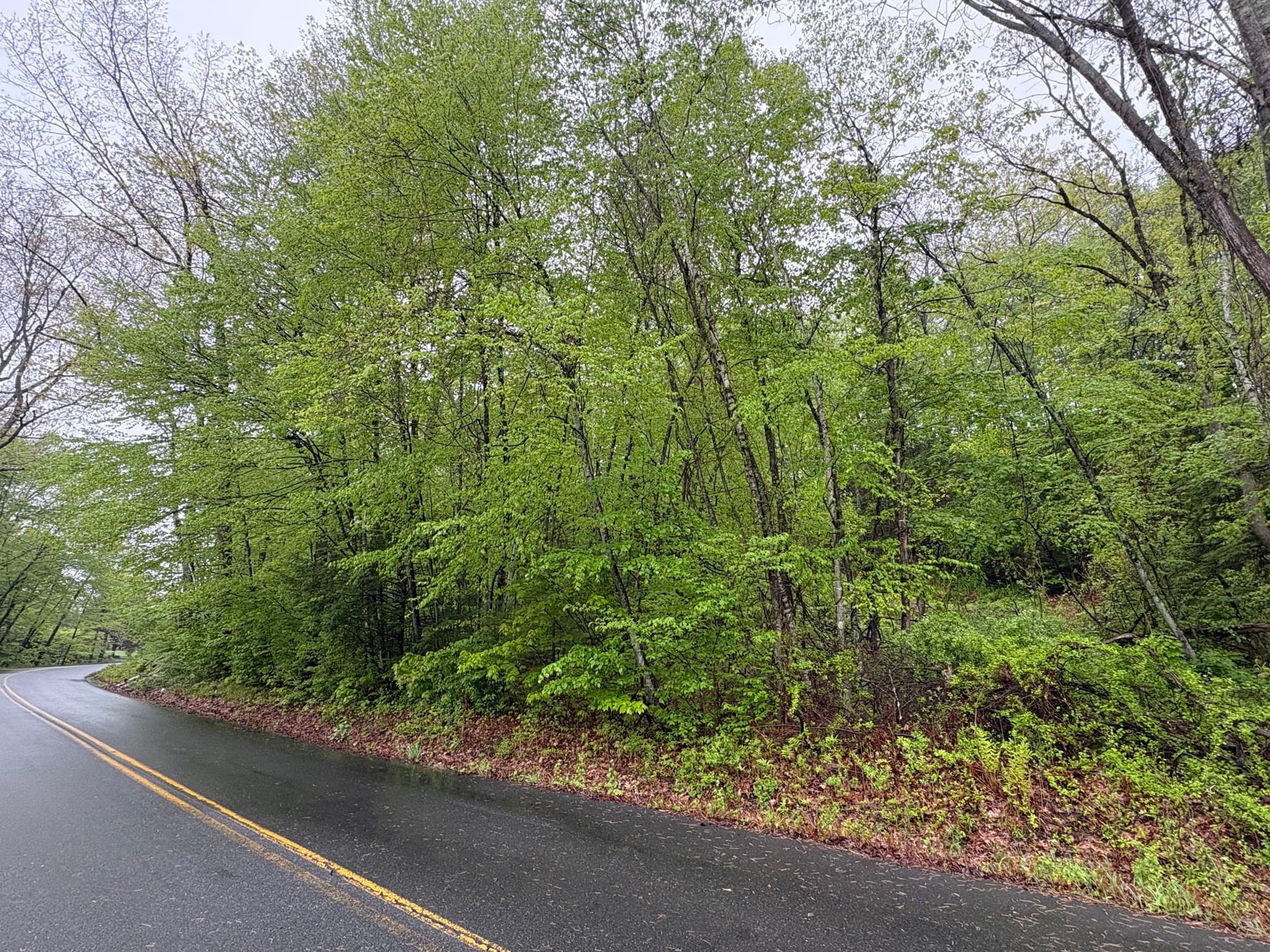 Residential at TBD Lower Road, Deerfield MA 01342, photo 4 of 8