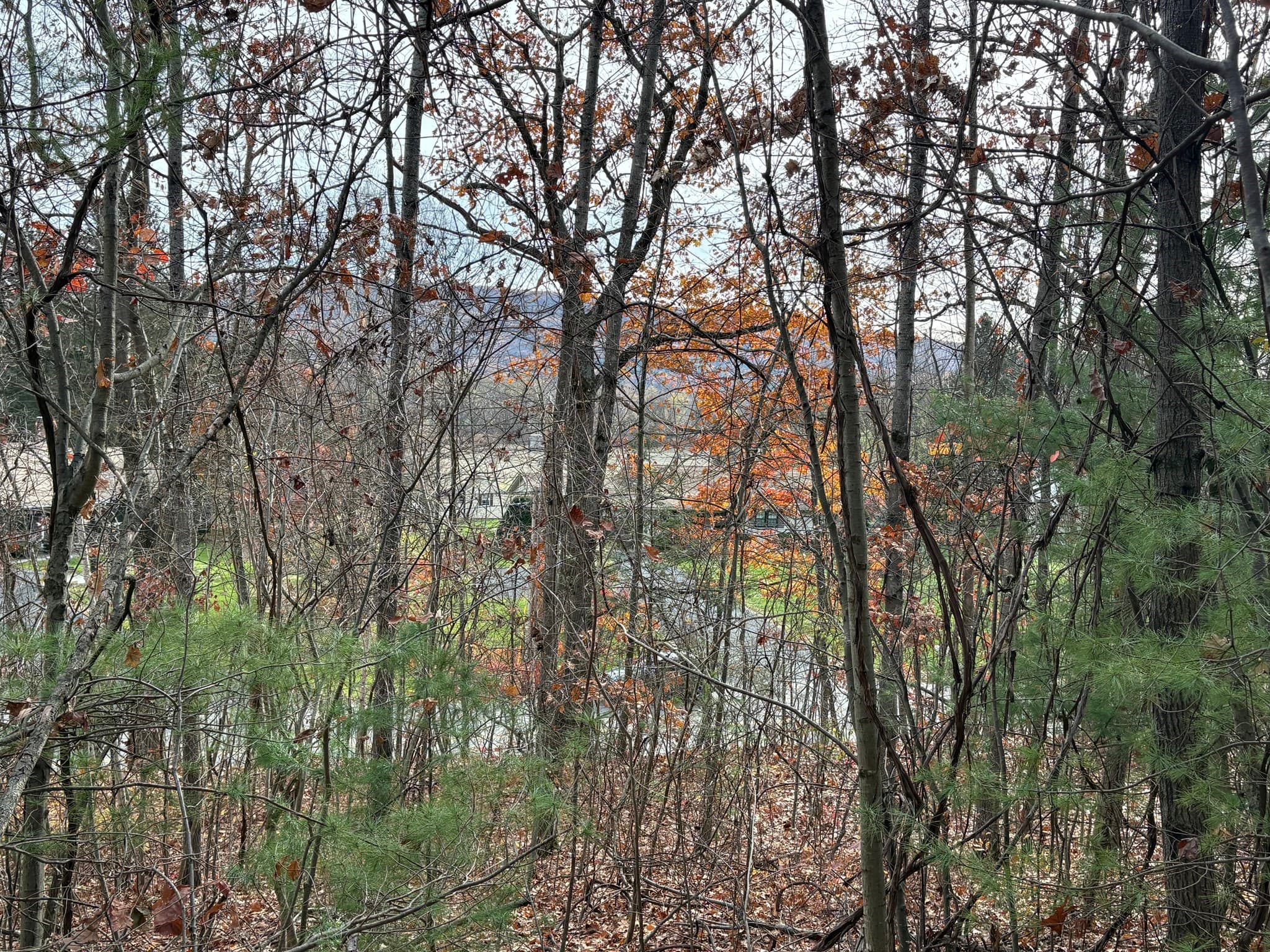 Residential at TBD Lower Road, Deerfield MA 01342, photo 8 of 8