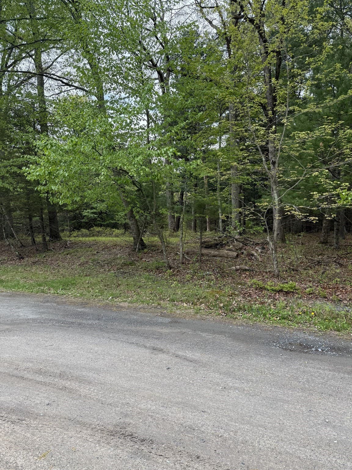 Residential at 0 Pitas Ave, Attleboro MA 02703, Attleboro, photo 2 of 5